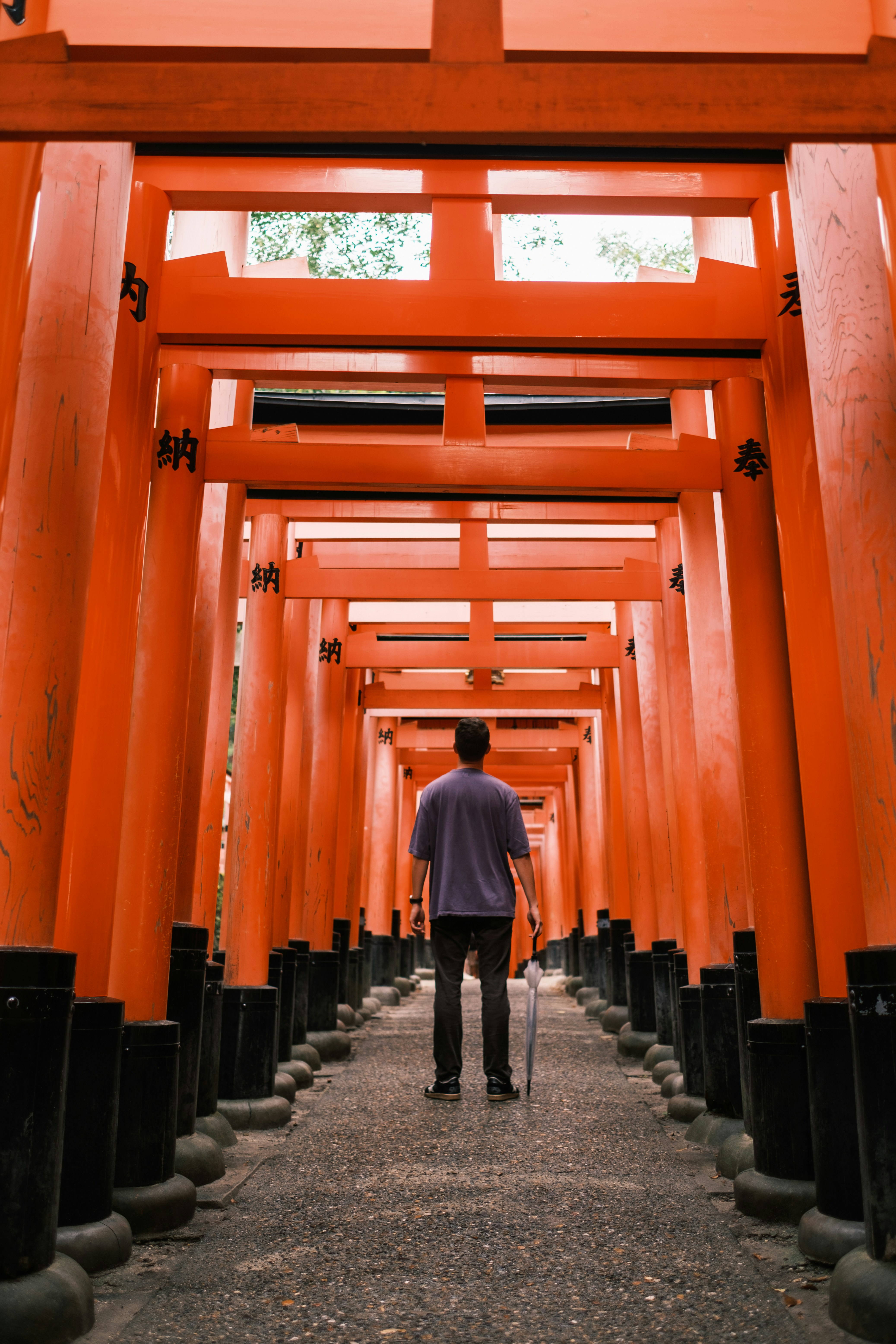 A man is walking through a tunnel of red tori tori tori tori tori tori tori