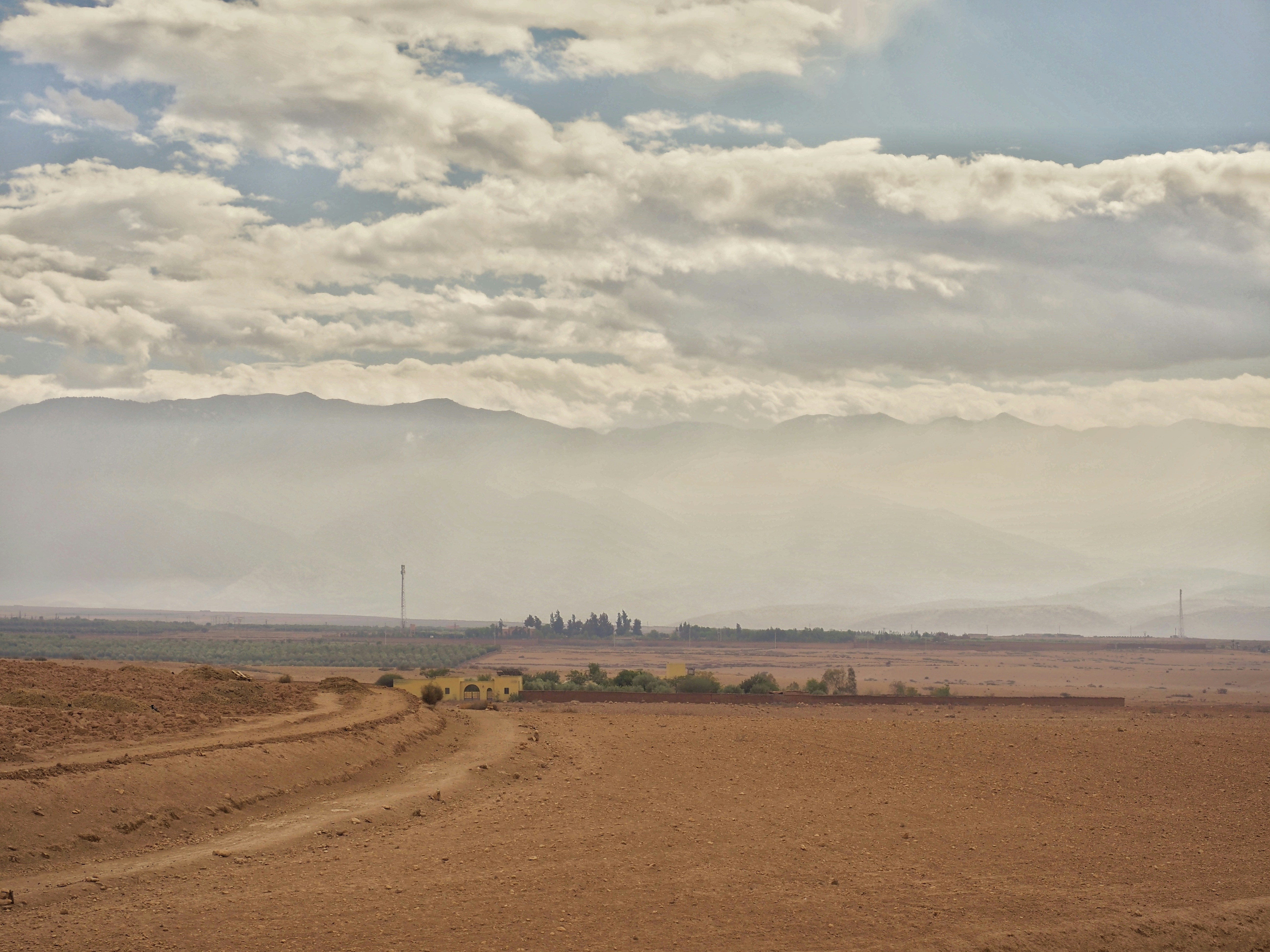 A dirt road in the middle of a field