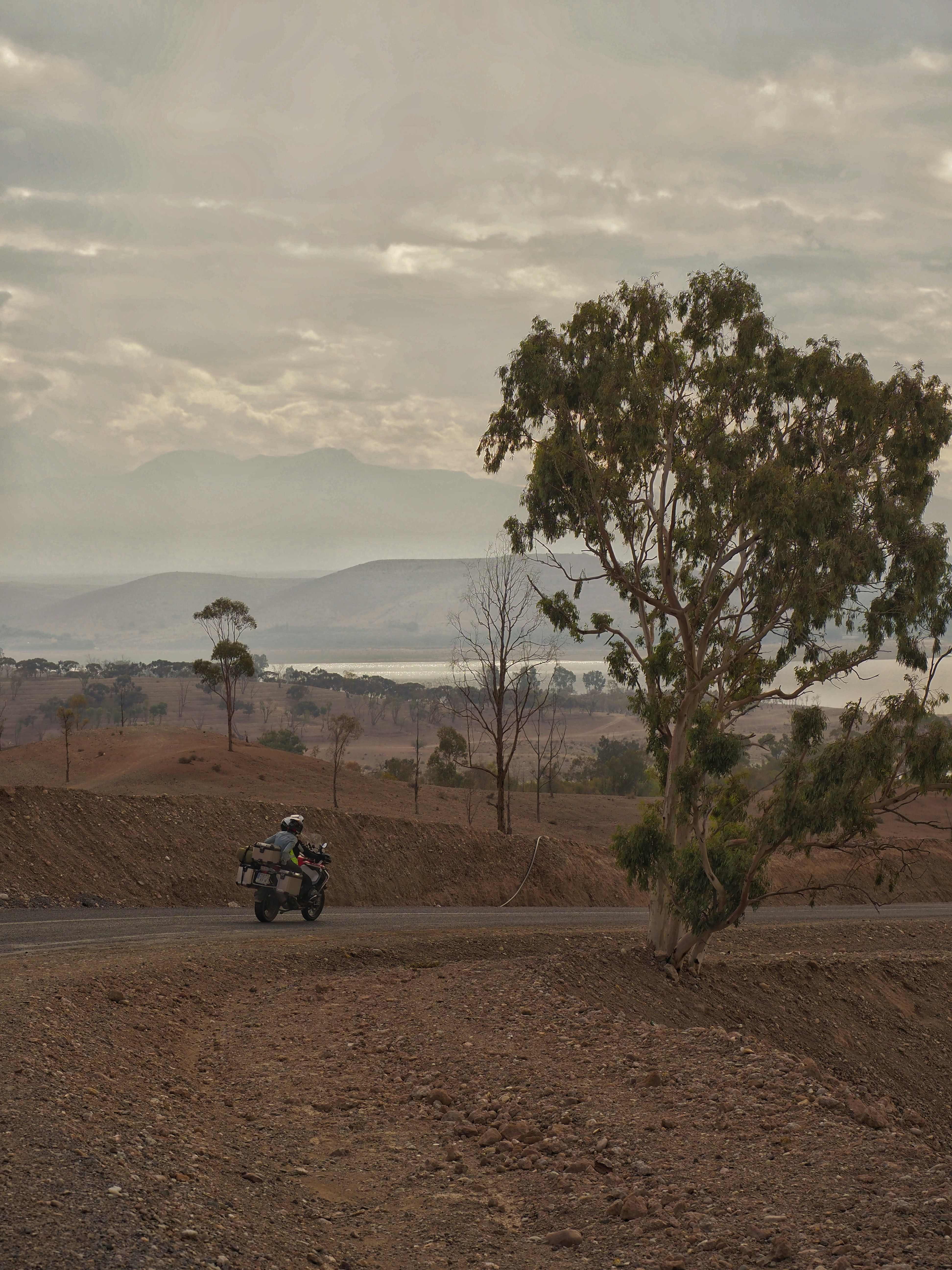 The rocky terrain of the Agafay Desert with the Atlas Mountains in the background