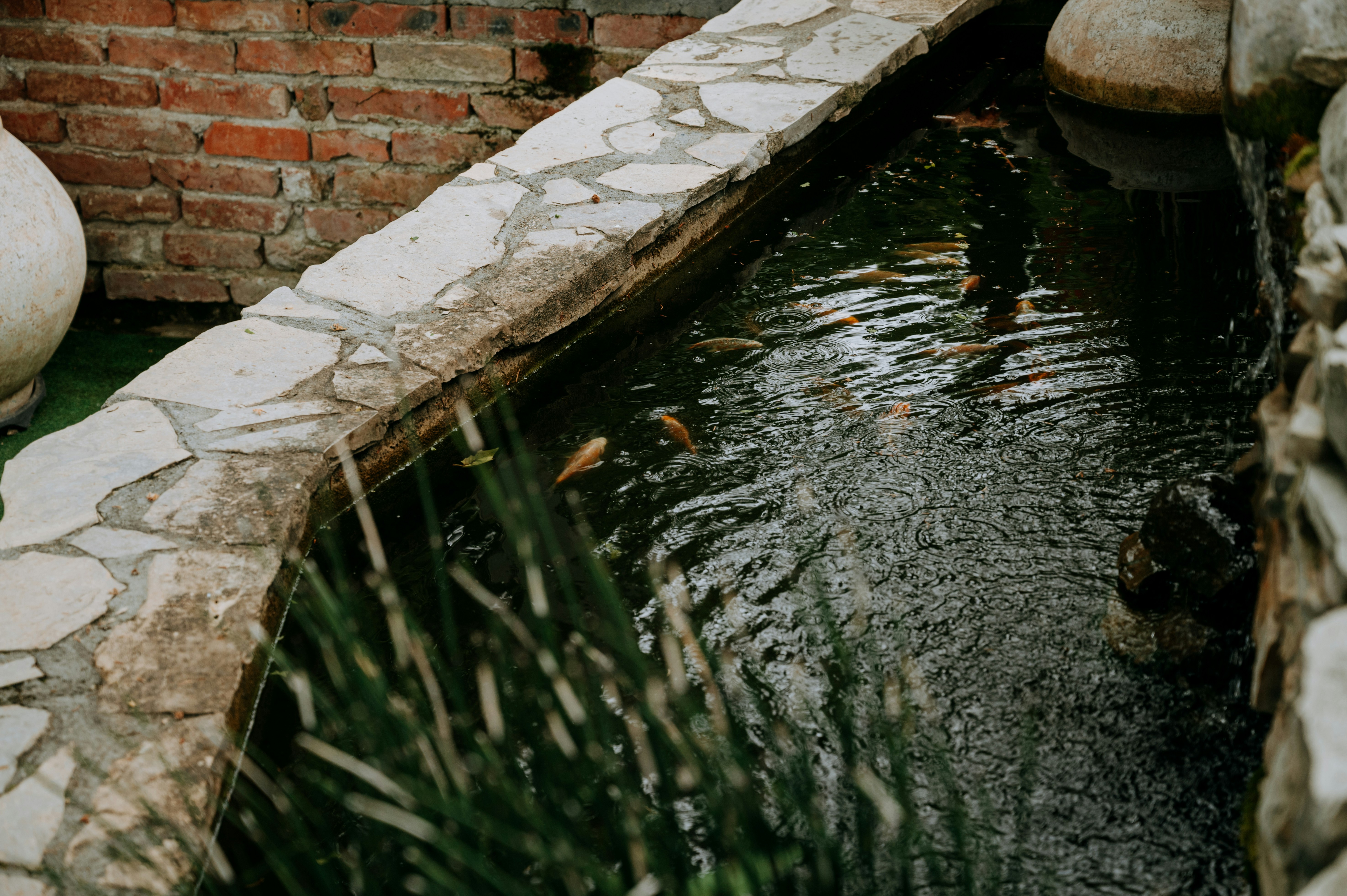 Photo by virginiaphotostories