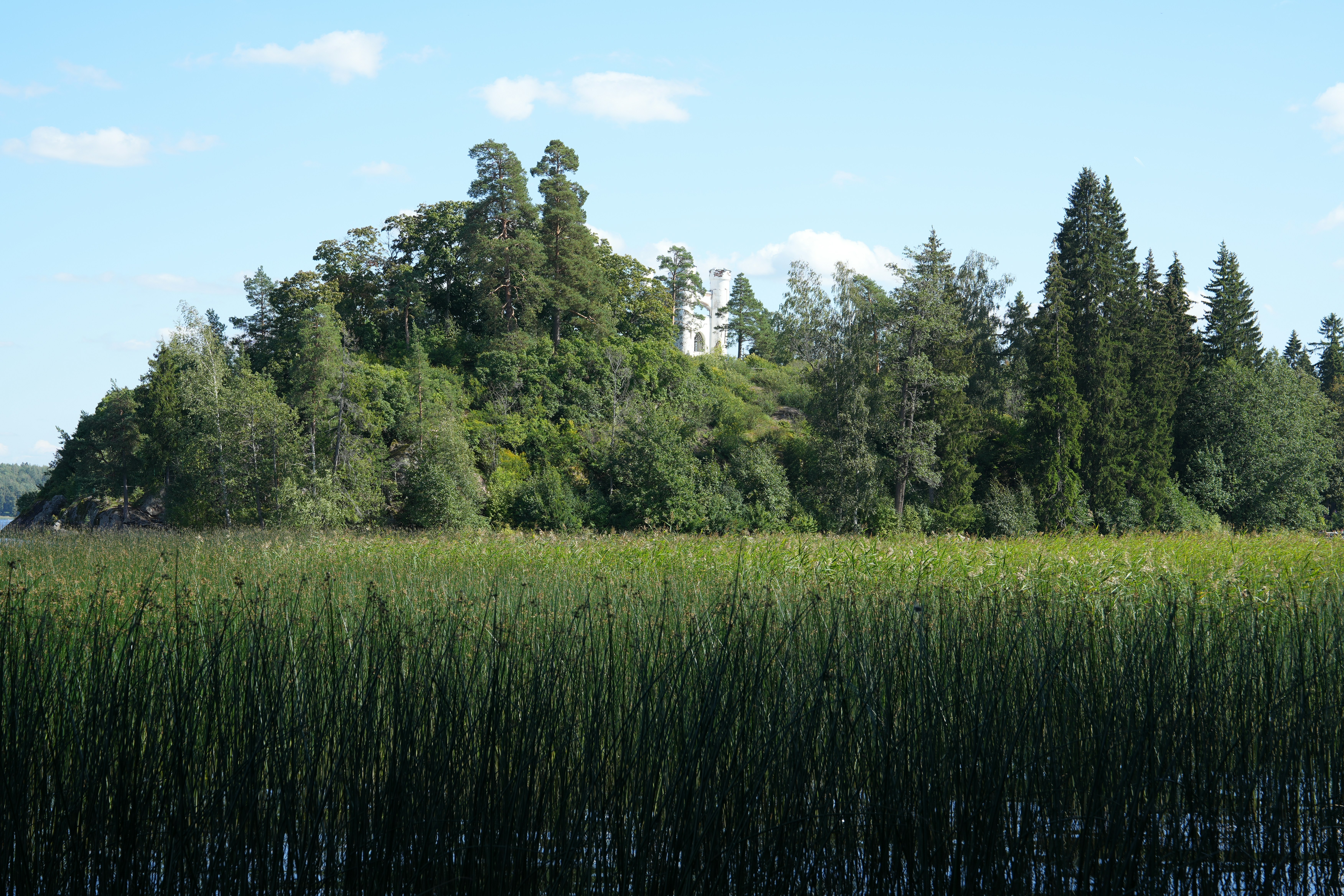 A large body of water surrounded by trees