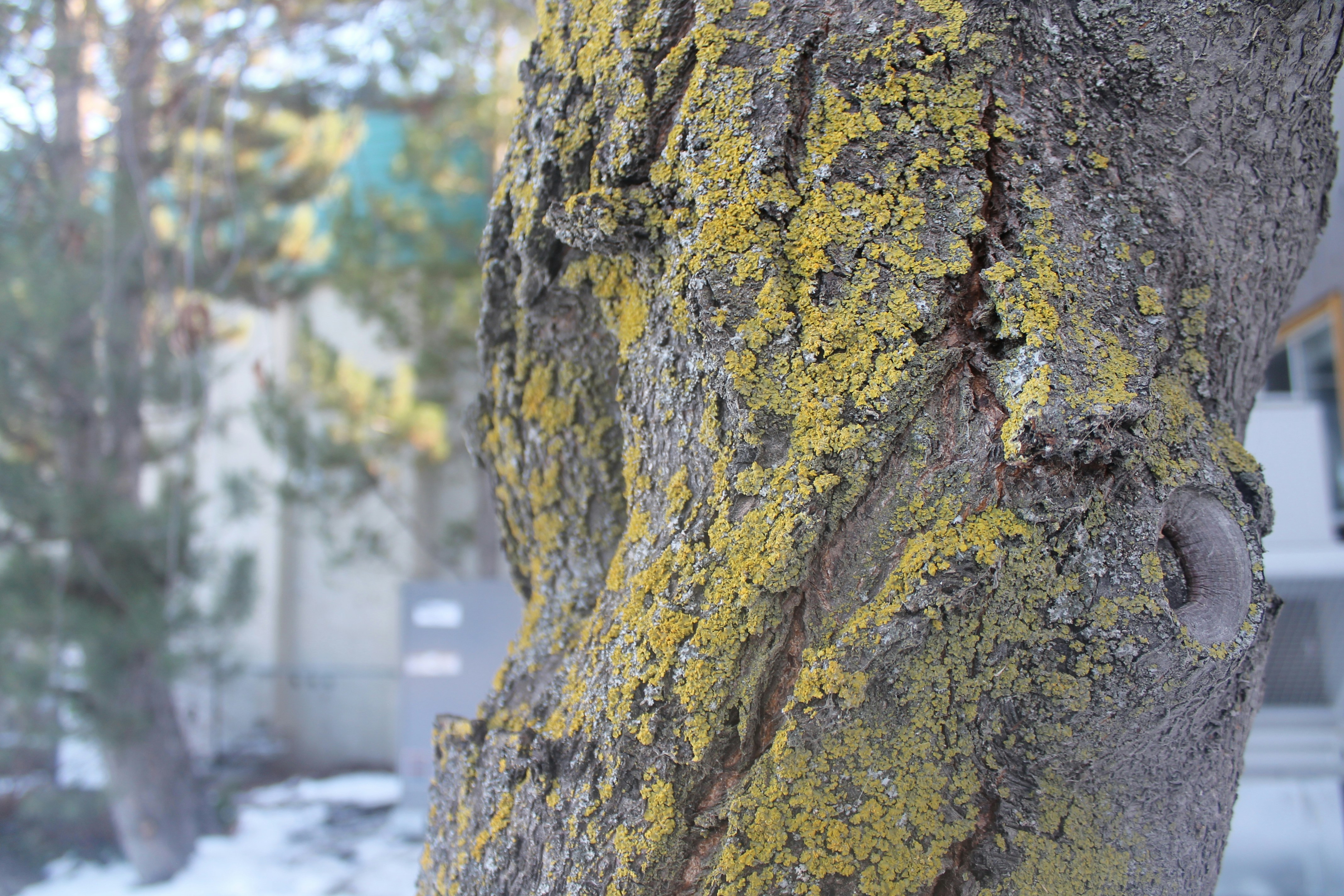 Photo by carphotography