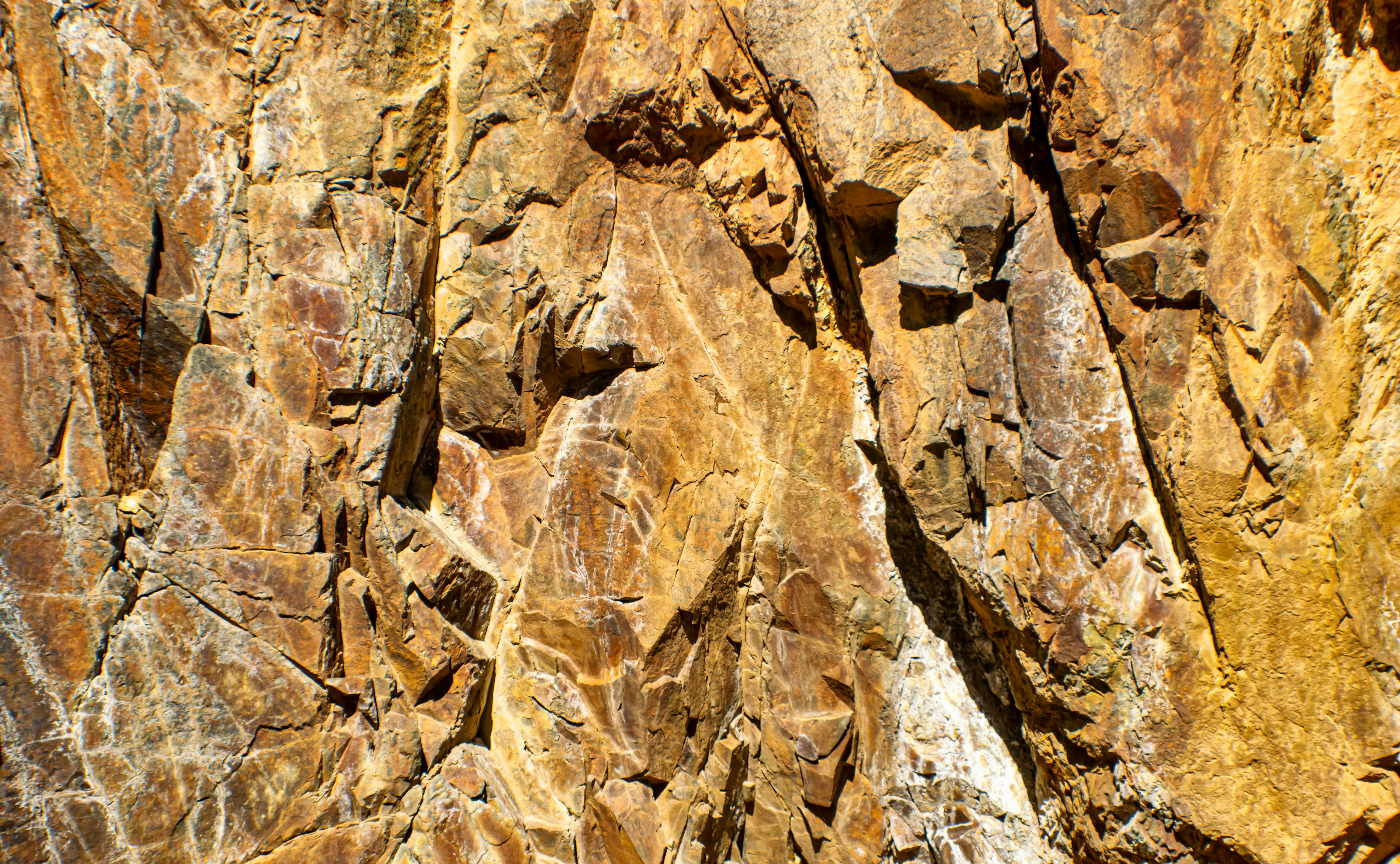 Photo by r_anthonykdesign