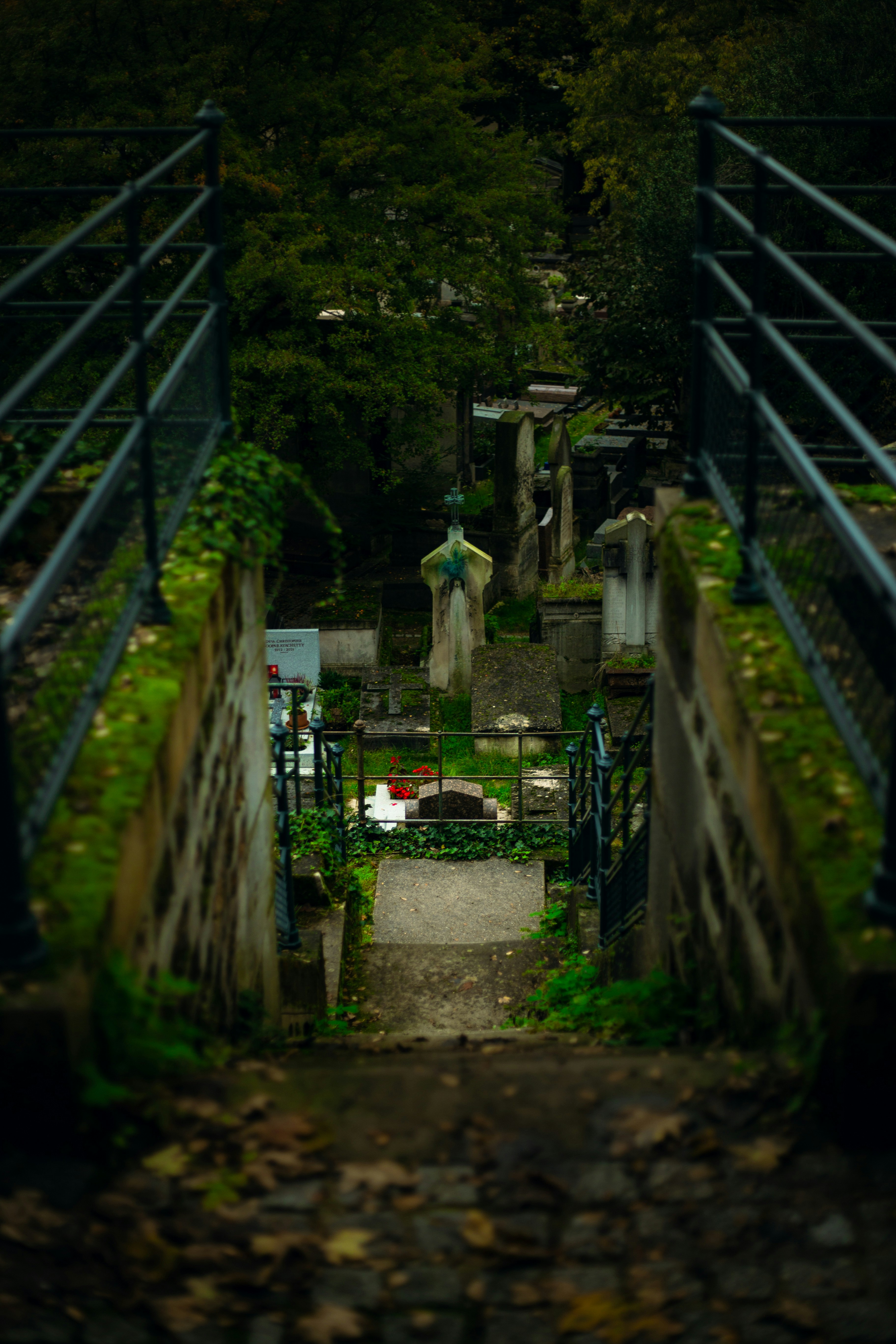 A bridge that has a bunch of plants growing on it