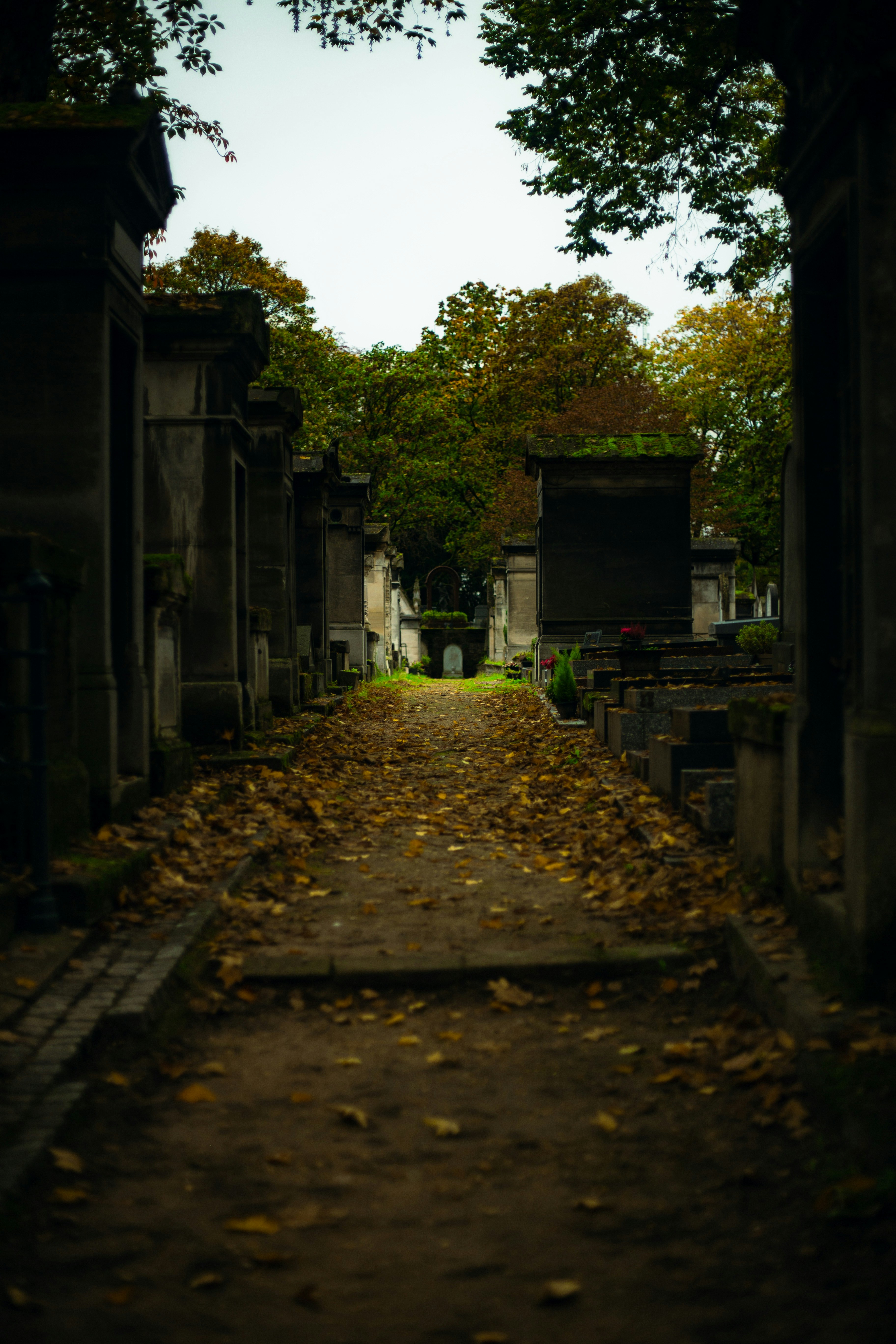 A cemetery with trees and tombstones in the background
