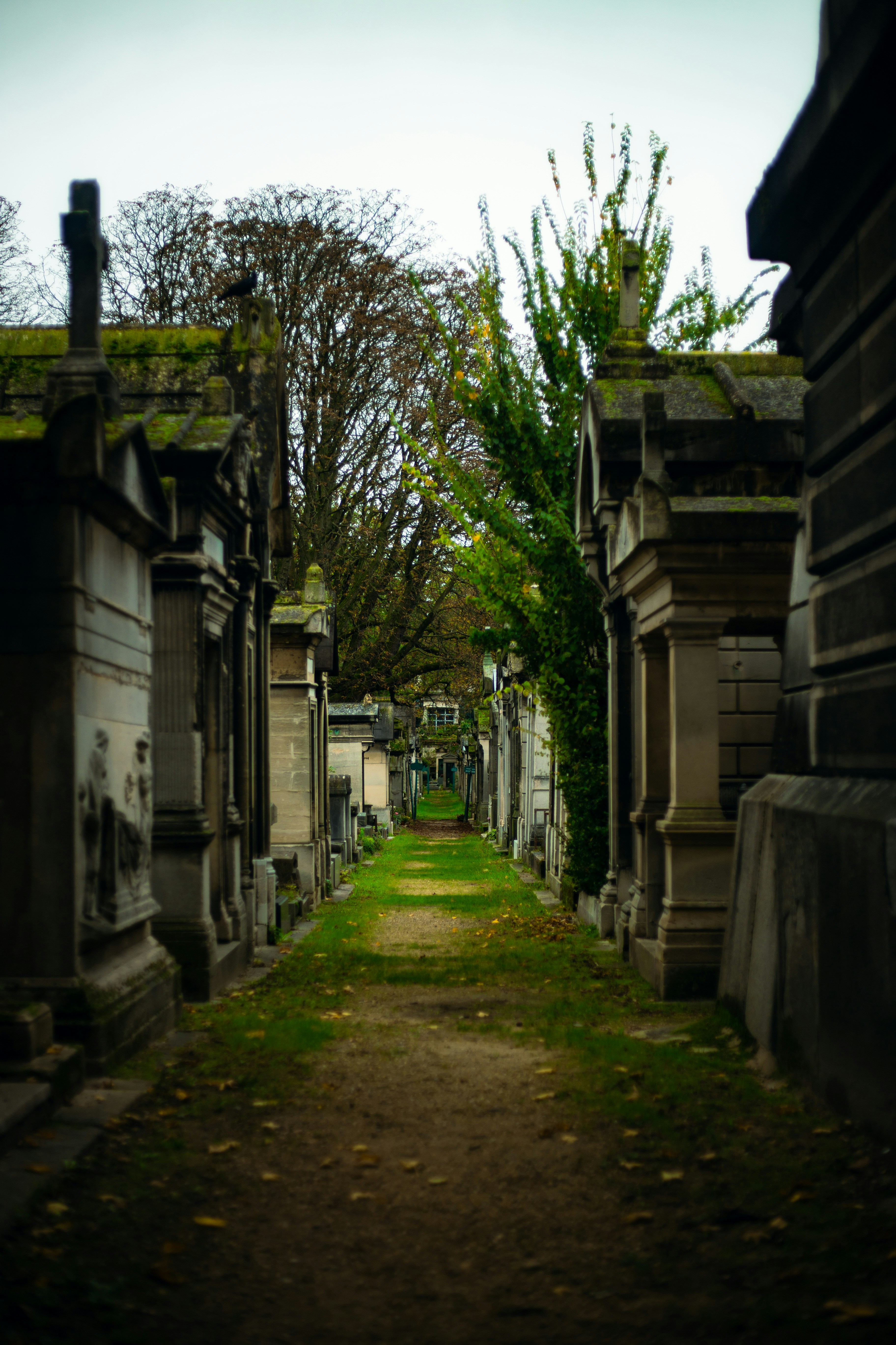 Photo by kaigabriel42