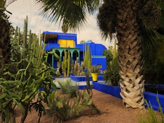 A blue and yellow building surrounded by palm trees