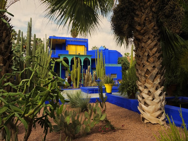 Majorelle-kert