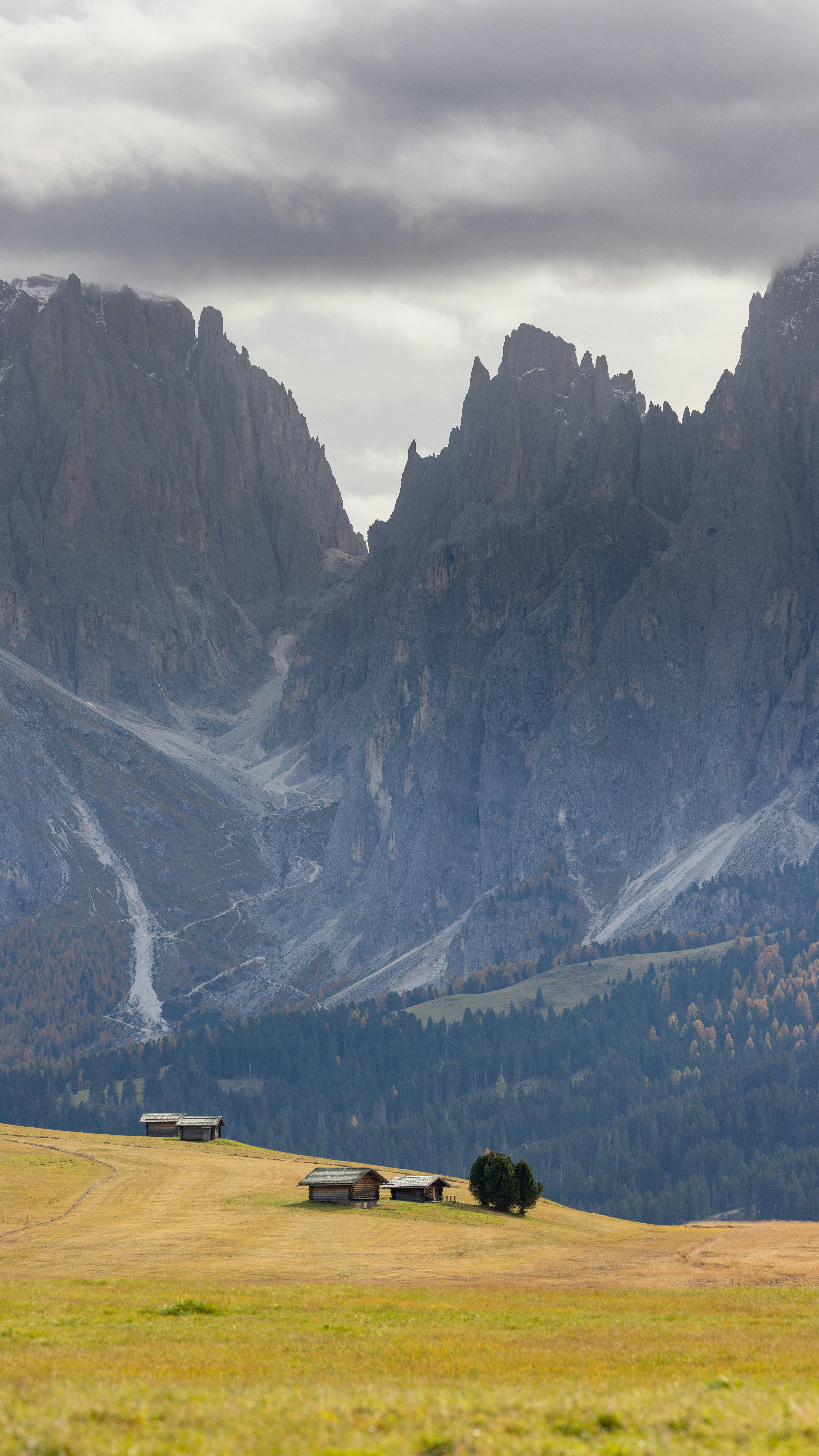 Ein grasbewachsenes Feld mit Bergen im Hintergrund