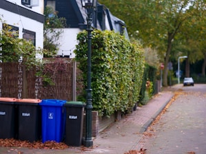 A row of trash cans sitting on the side of a road