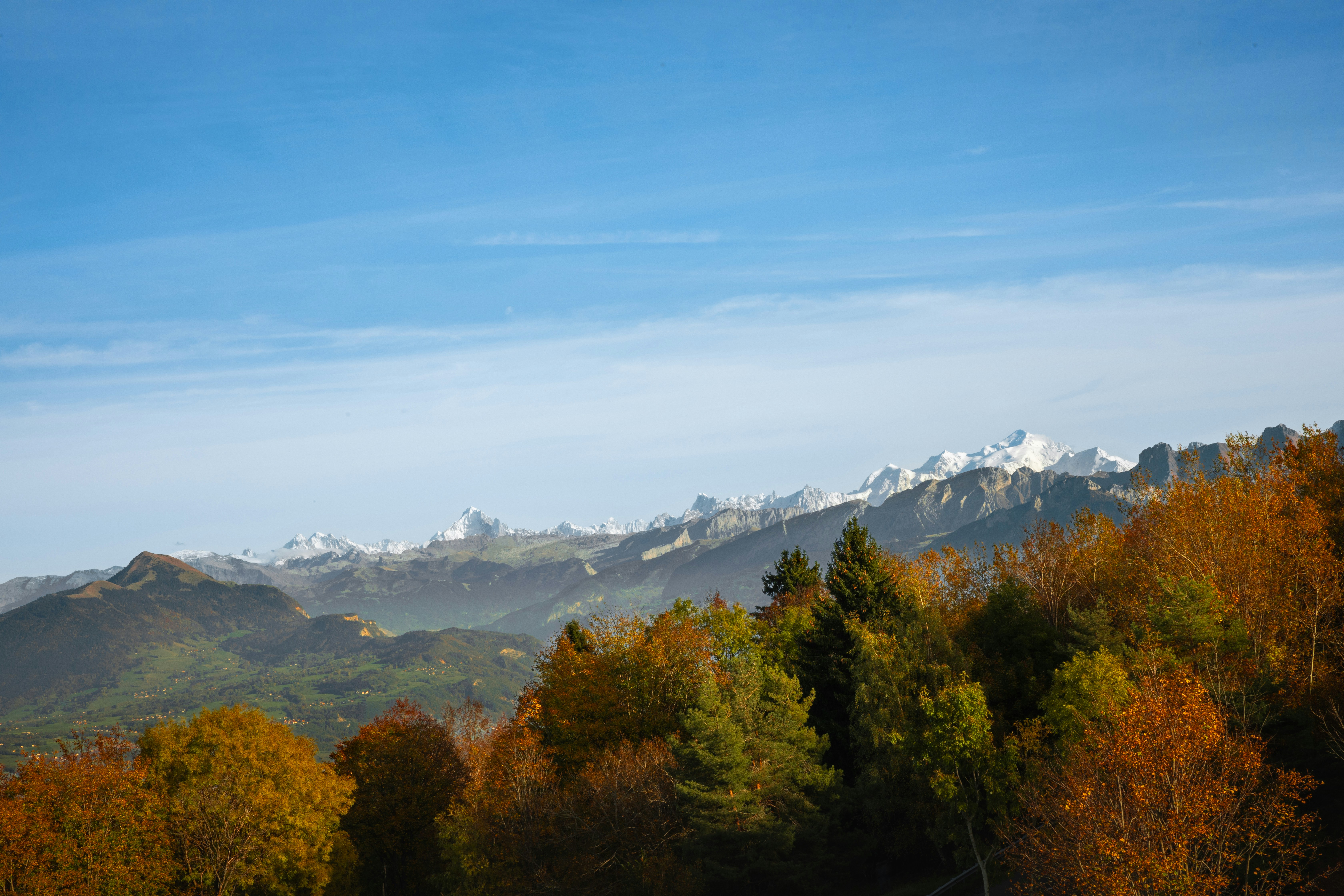 A view of a mountain range with trees in the foreground
