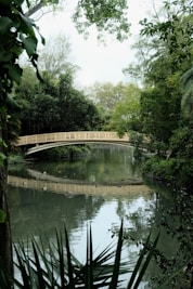 A bridge over a body of water surrounded by trees