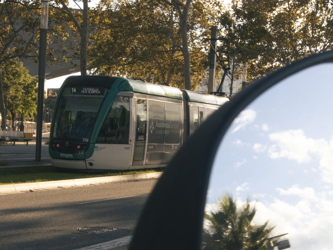 A green and white bus on a city street,