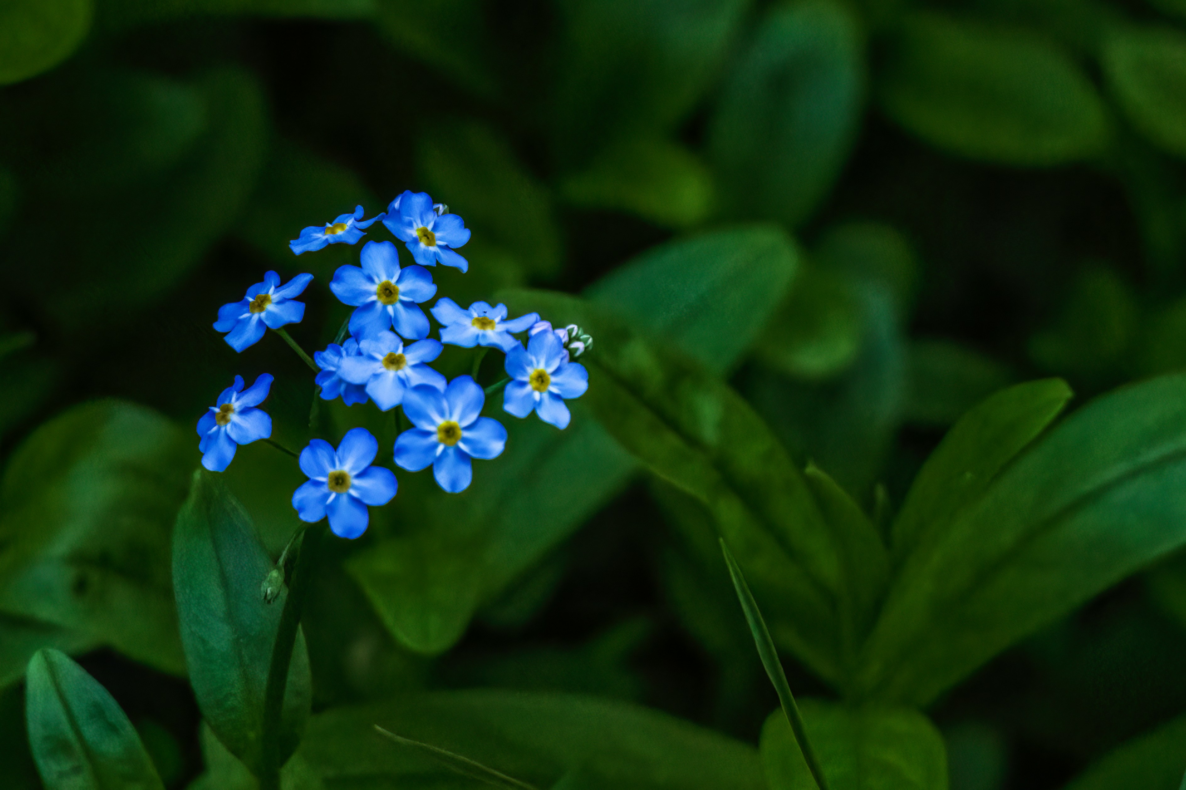 Photo by camerauthor