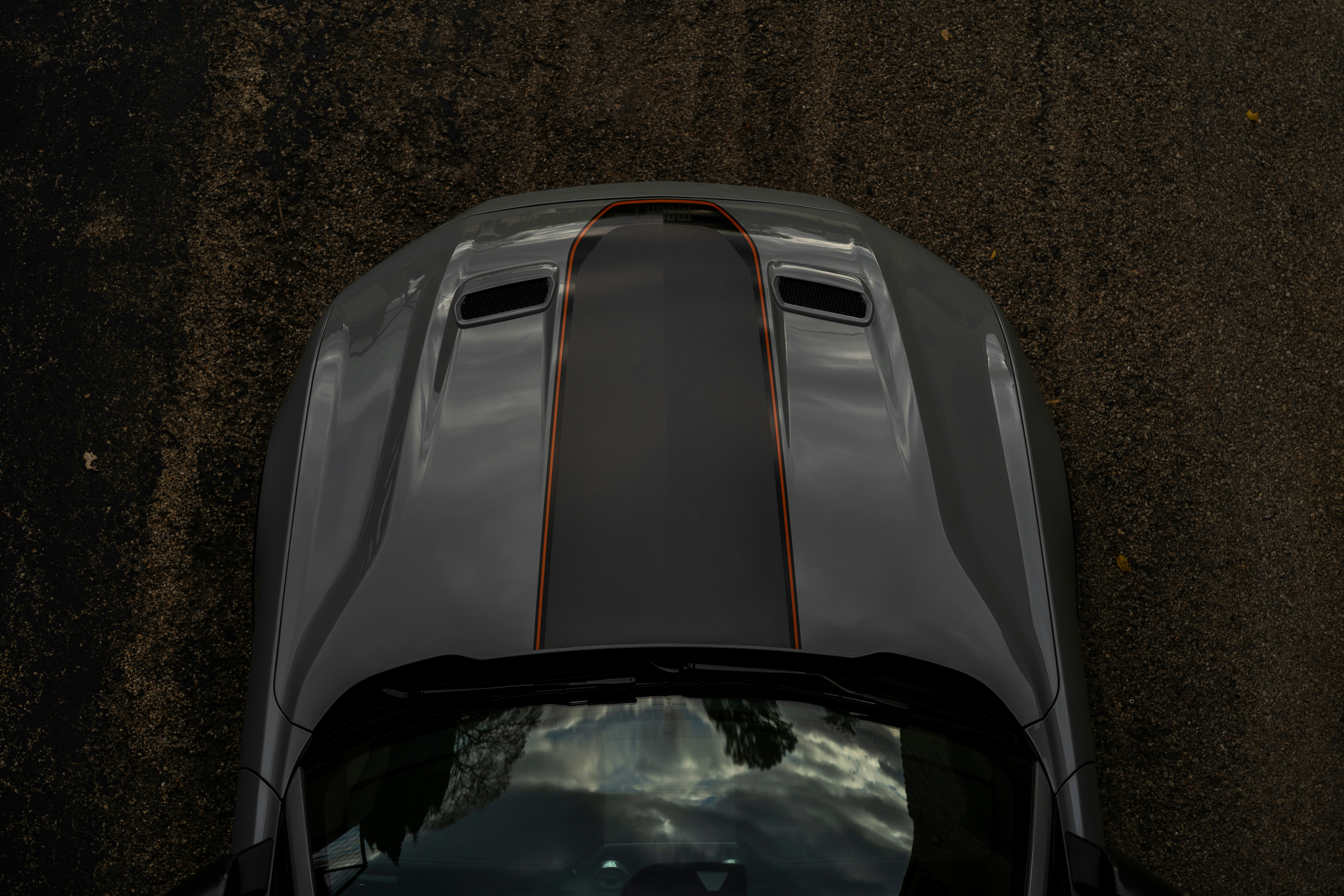 Photo by tinchflicks