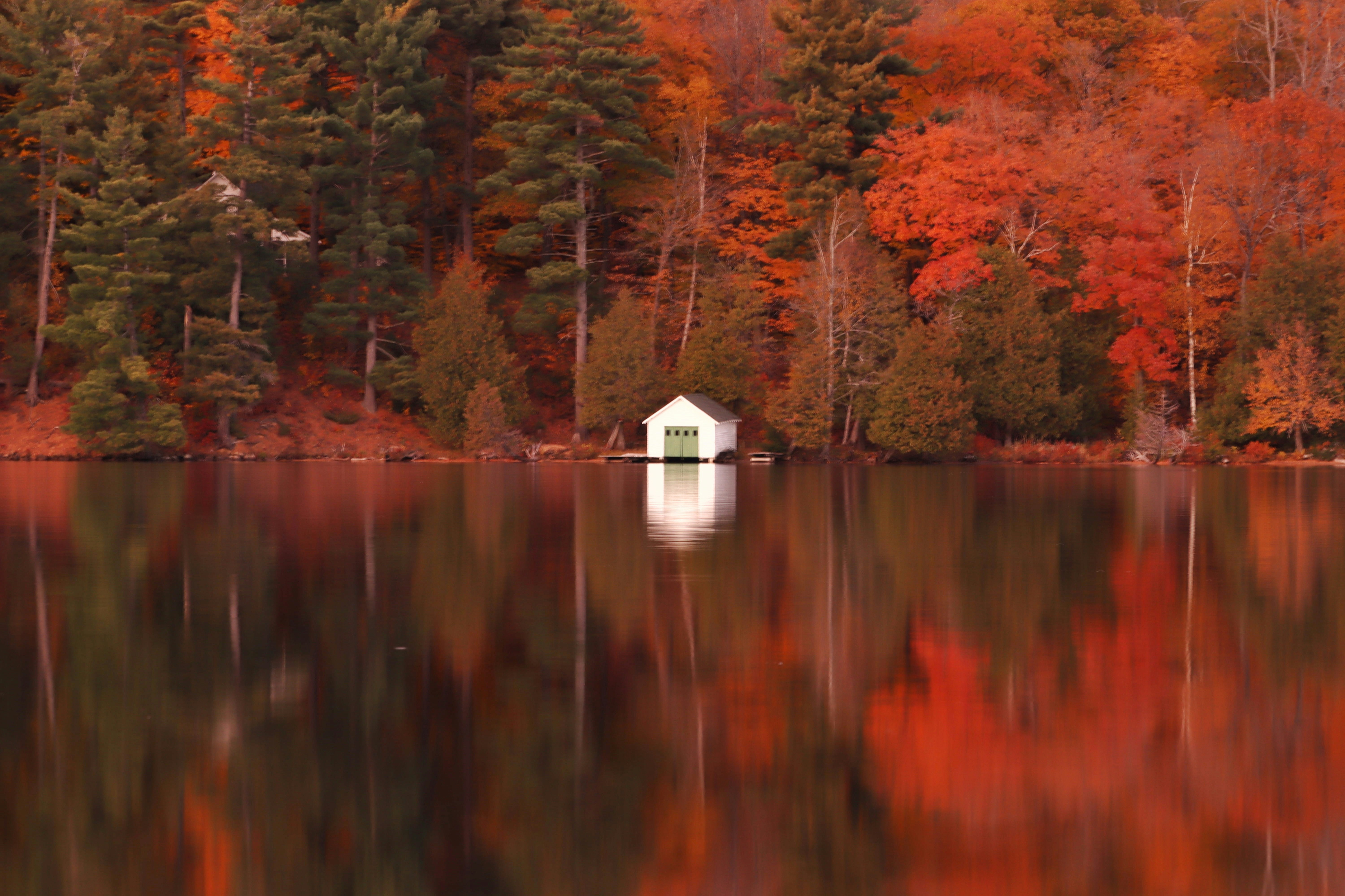 Gatineau Park, Canada - None