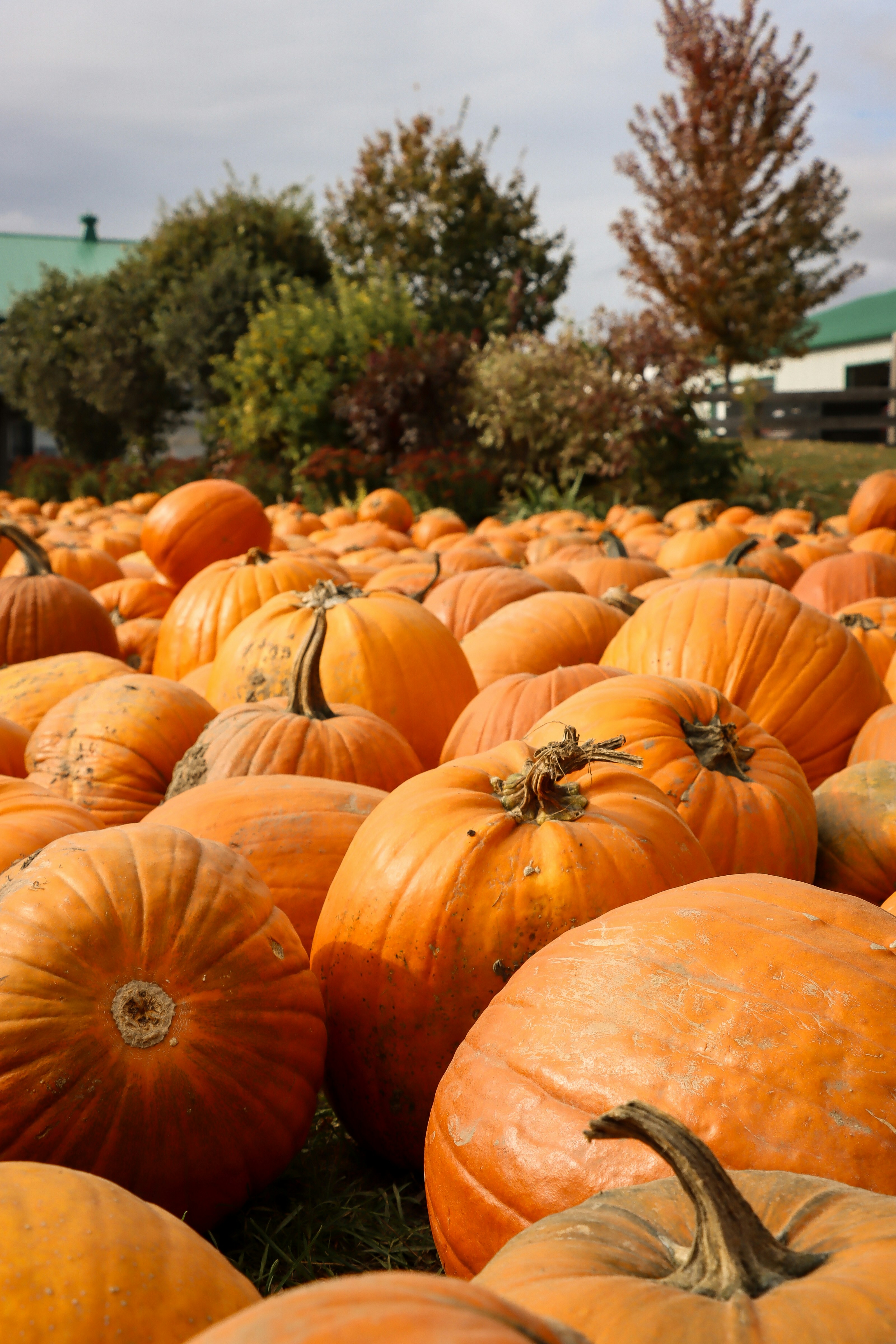 Photo by santiago_franco