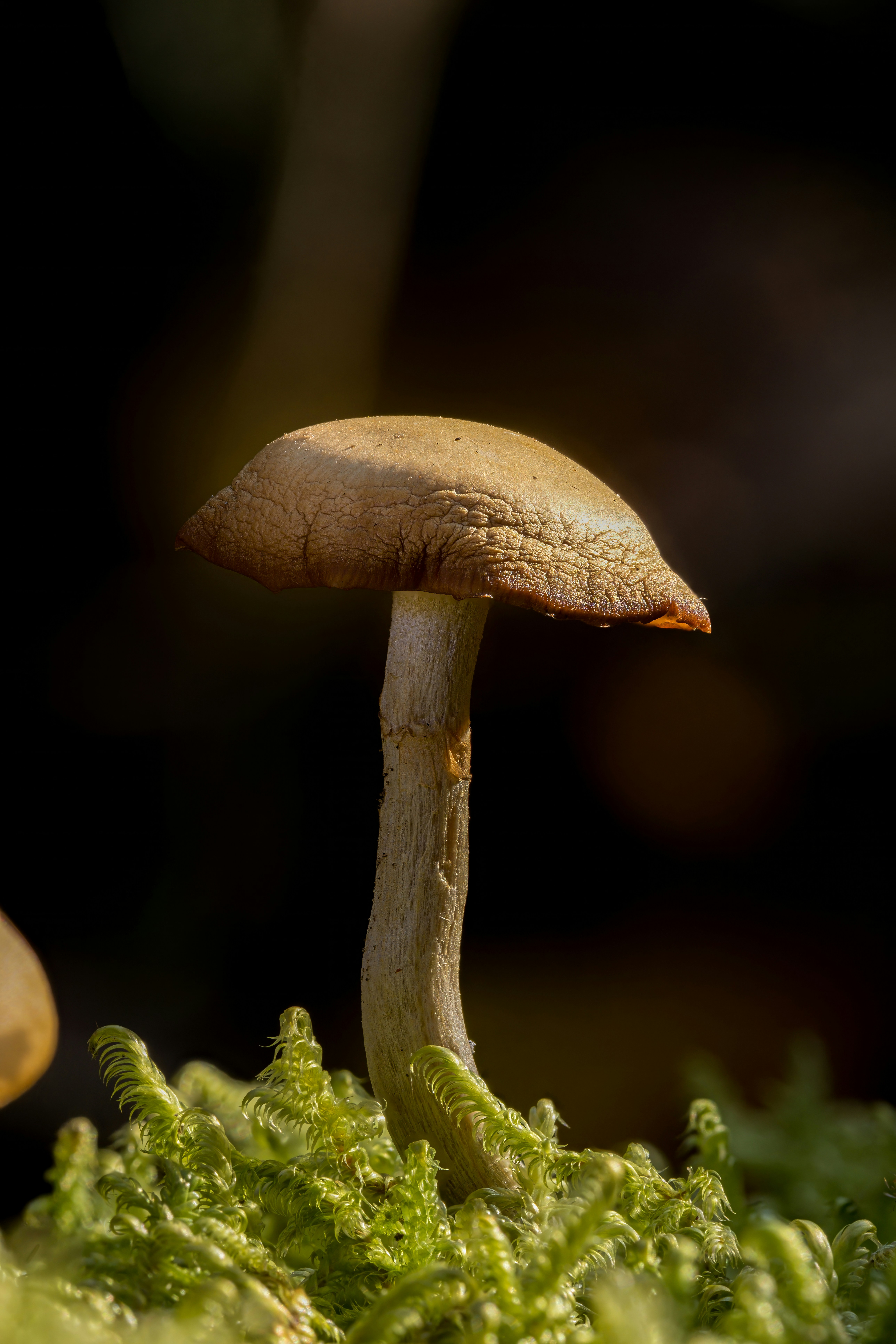 Photo by alexandredaoust