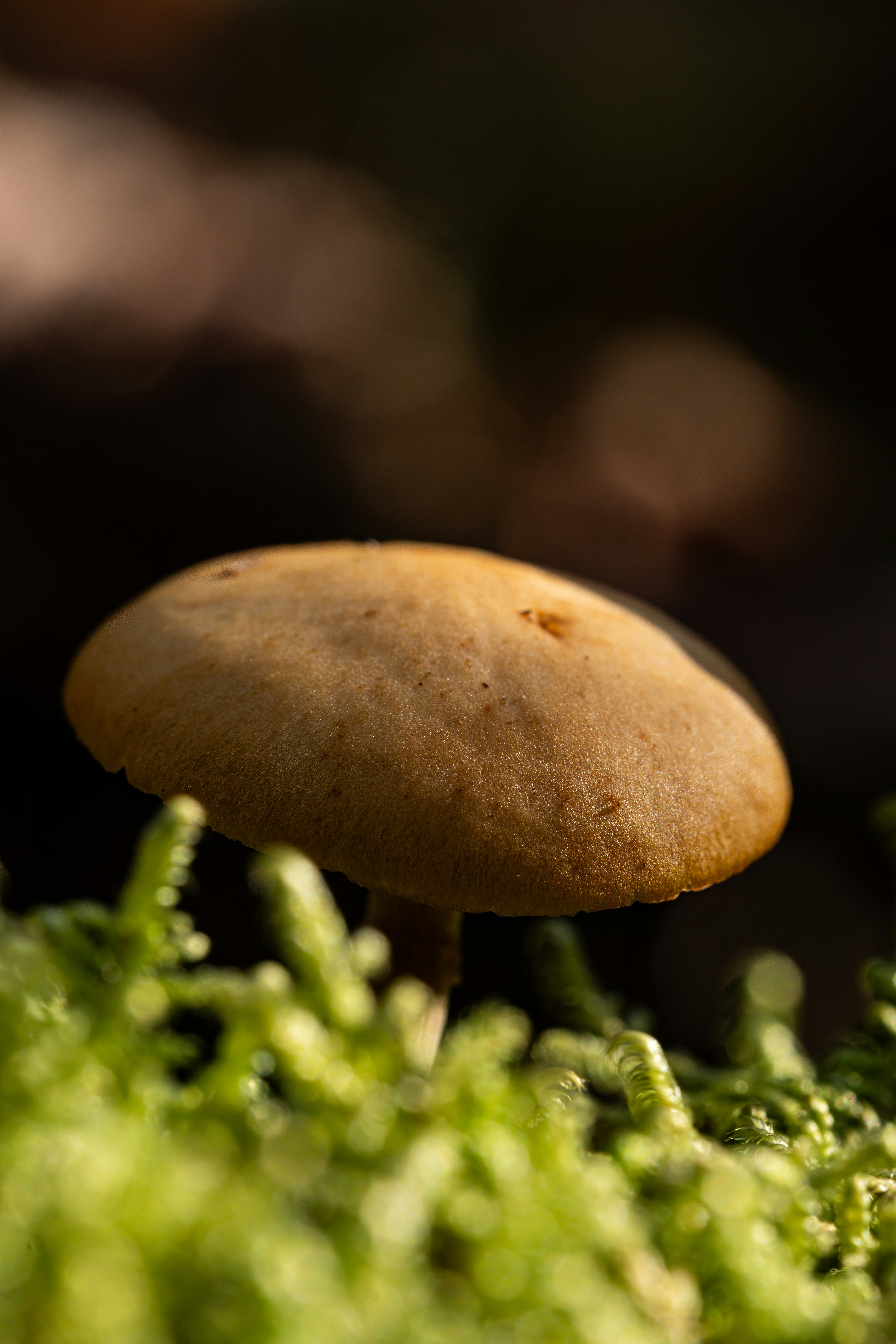 Photo by alexandredaoust