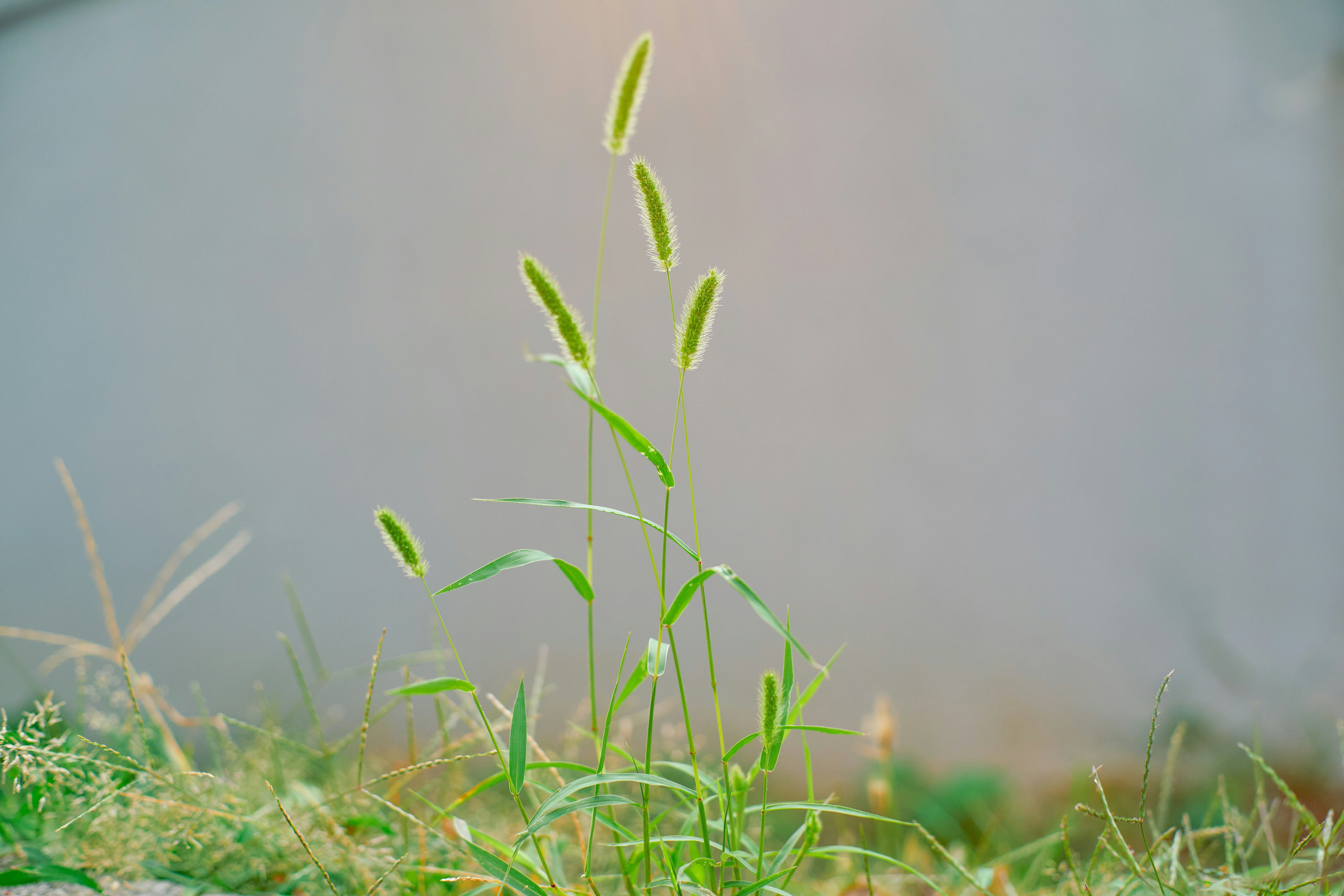 Photo by lipengsunsky