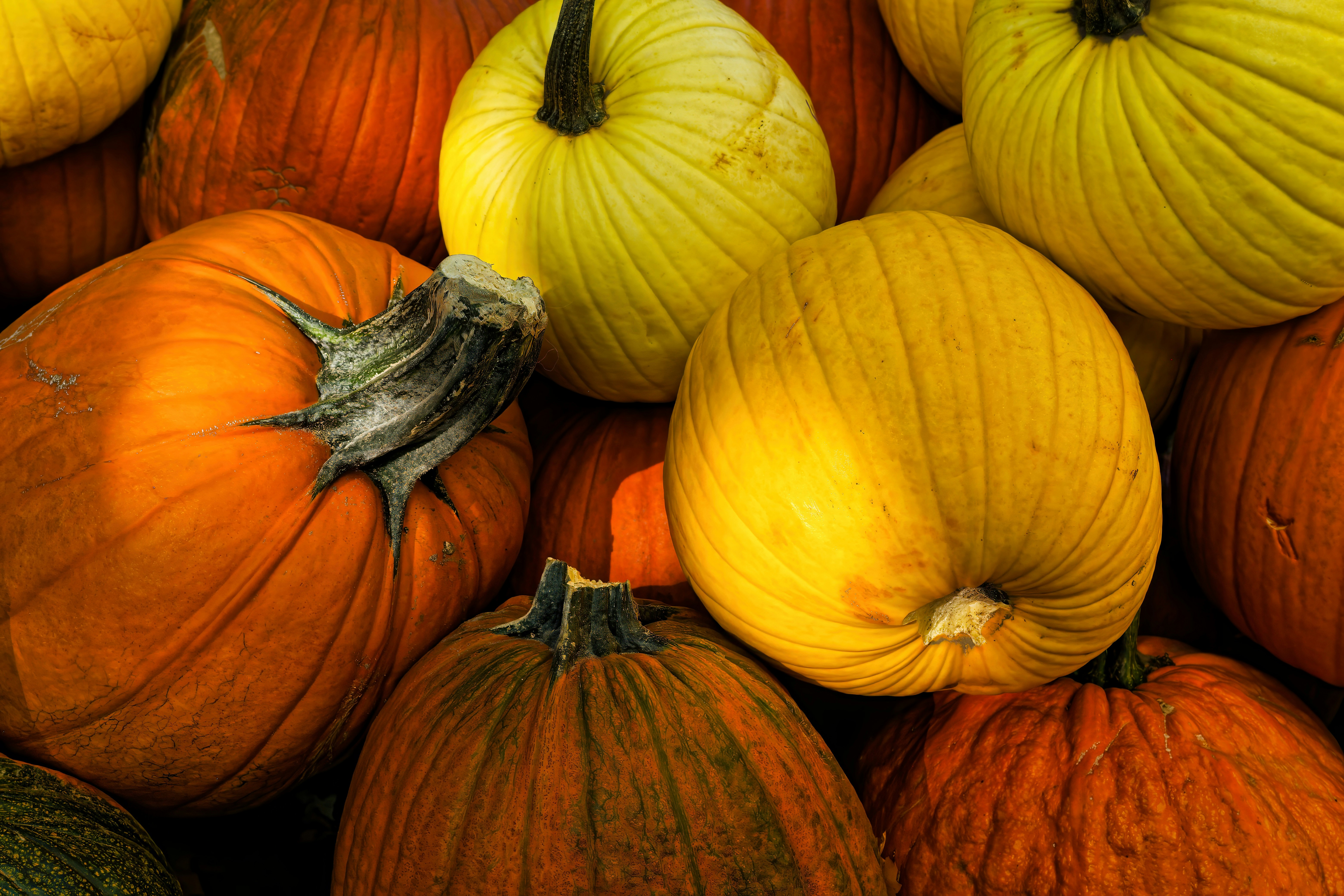 A pile of pumpkins sitting next to each other