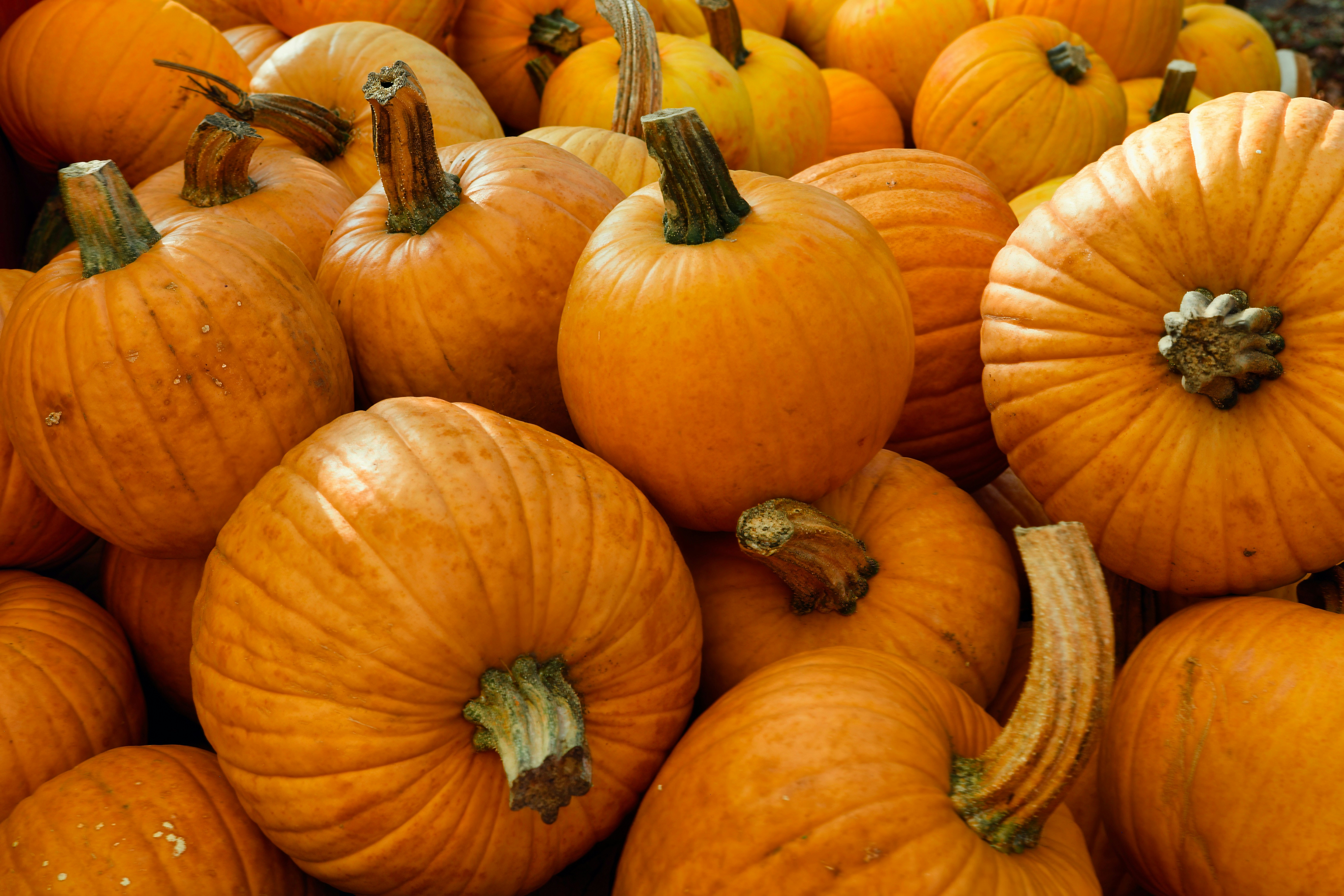 The Conscious List #167