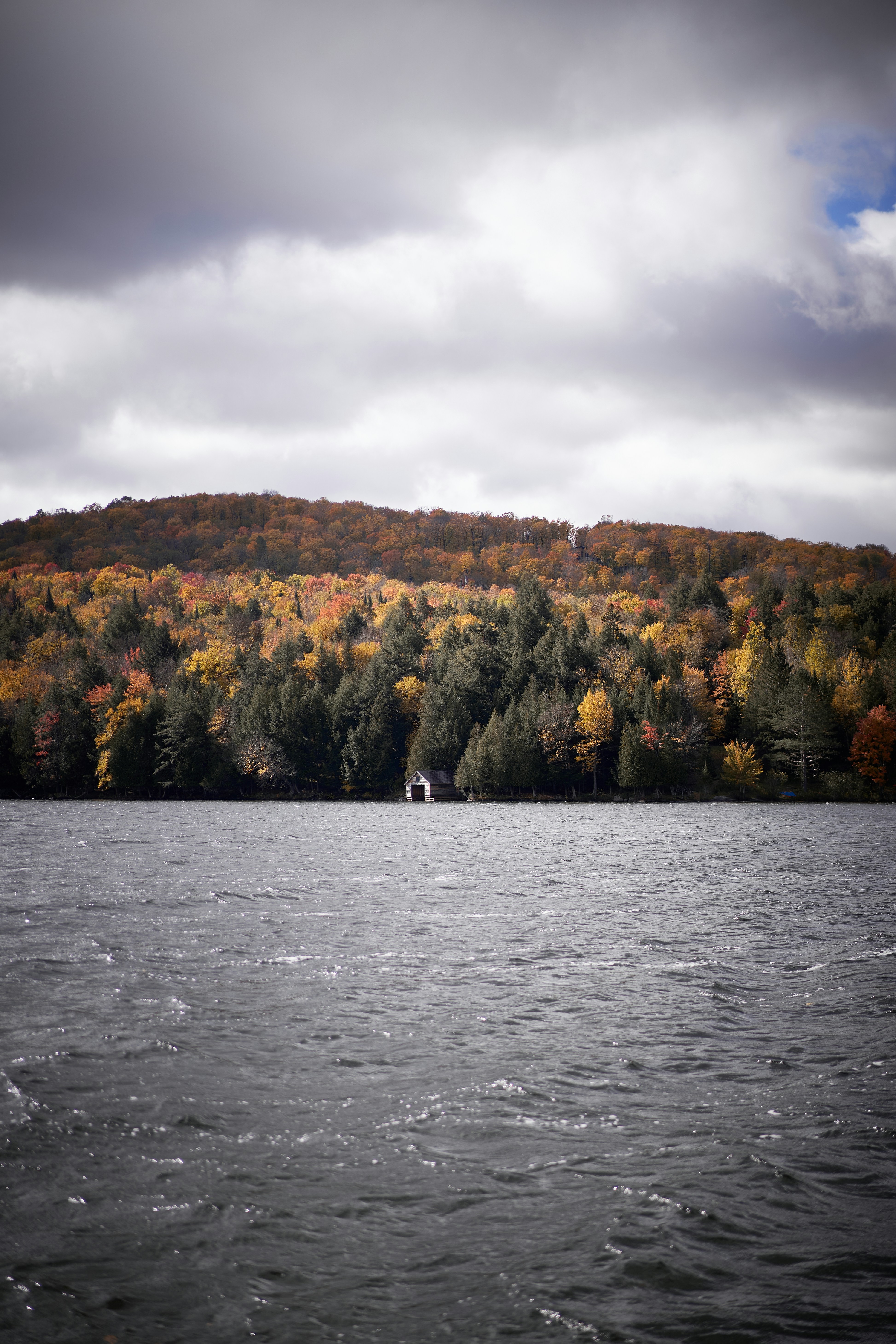 A large body of water surrounded by trees