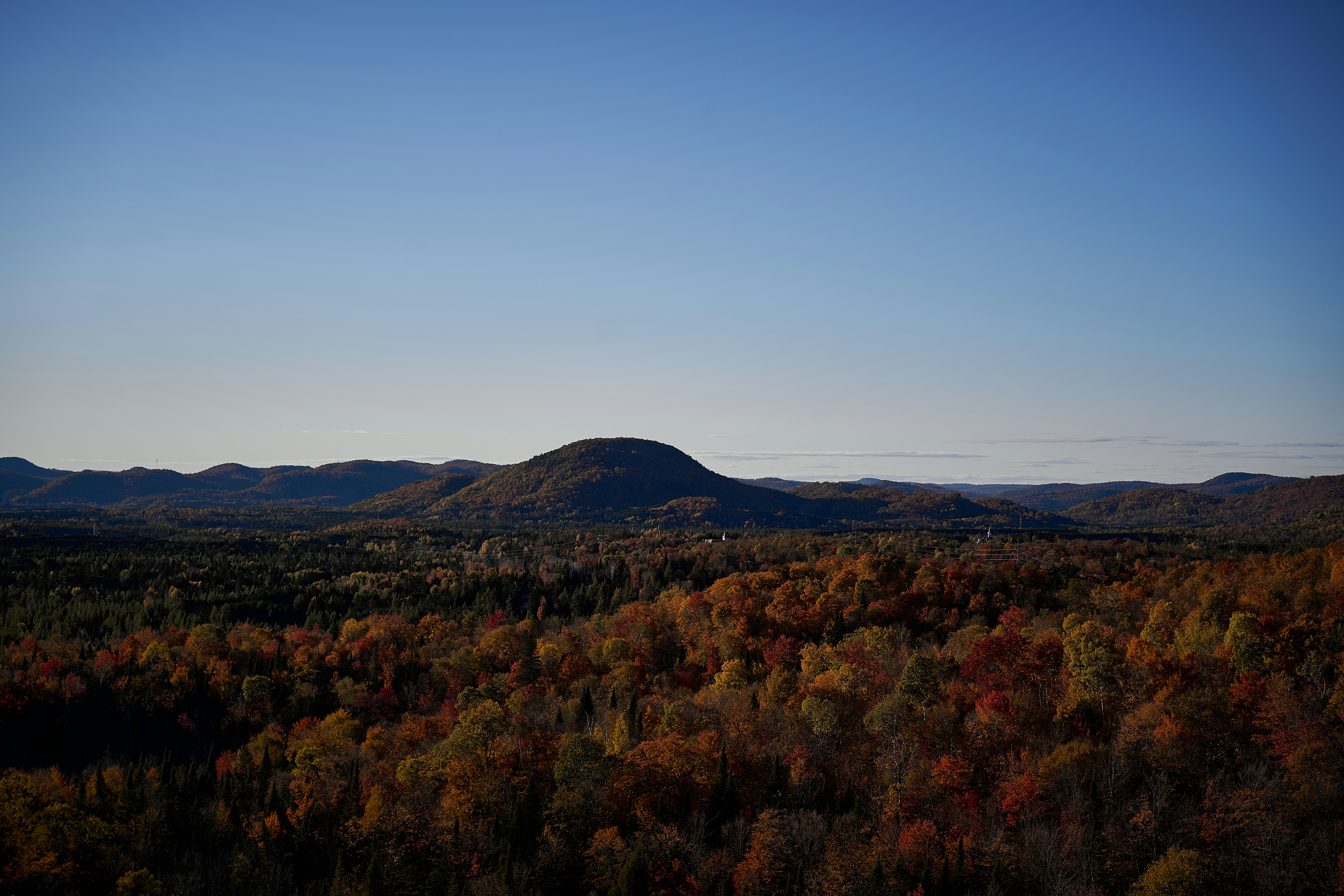 Photo by suicide_chewbacca