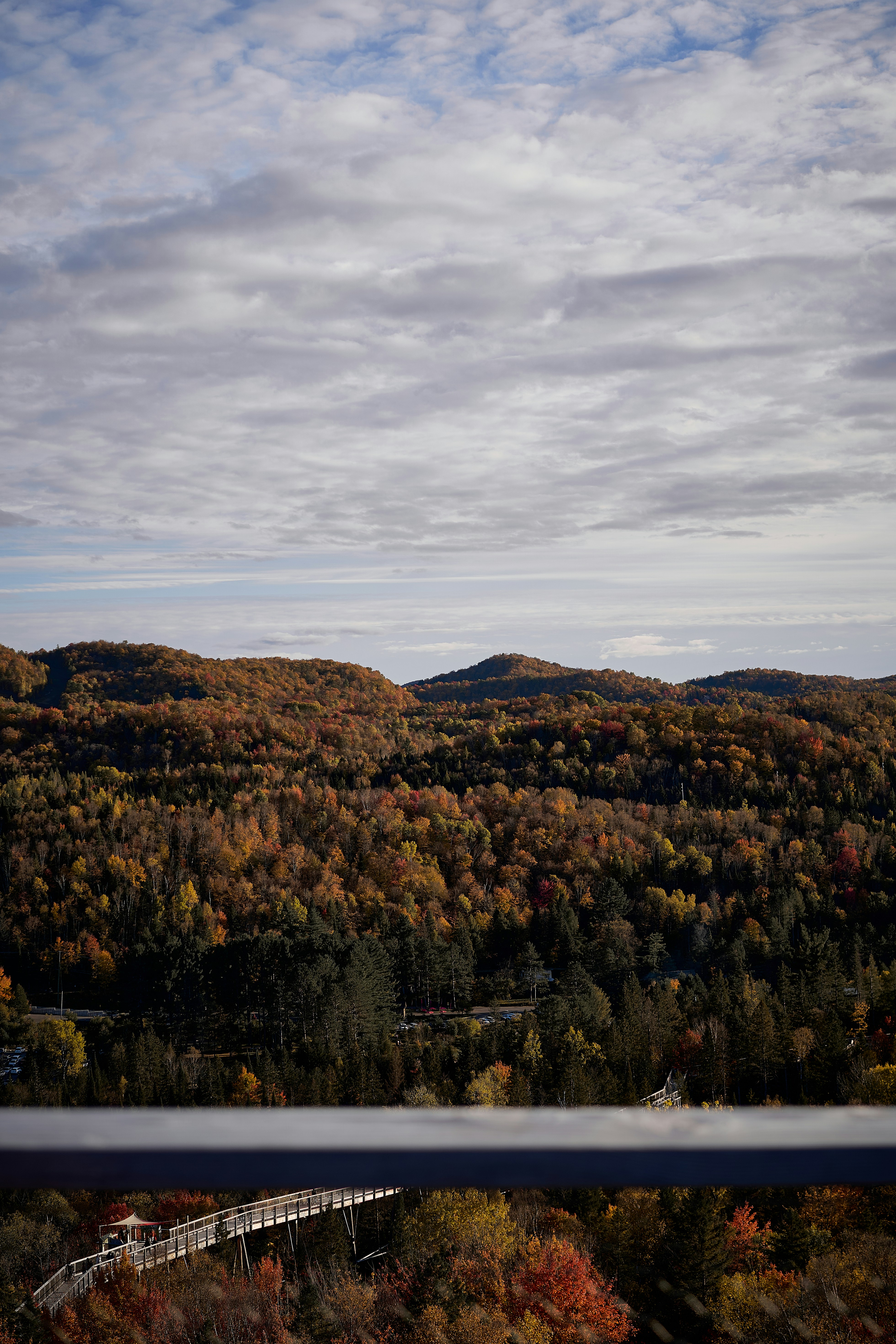 Photo by suicide_chewbacca