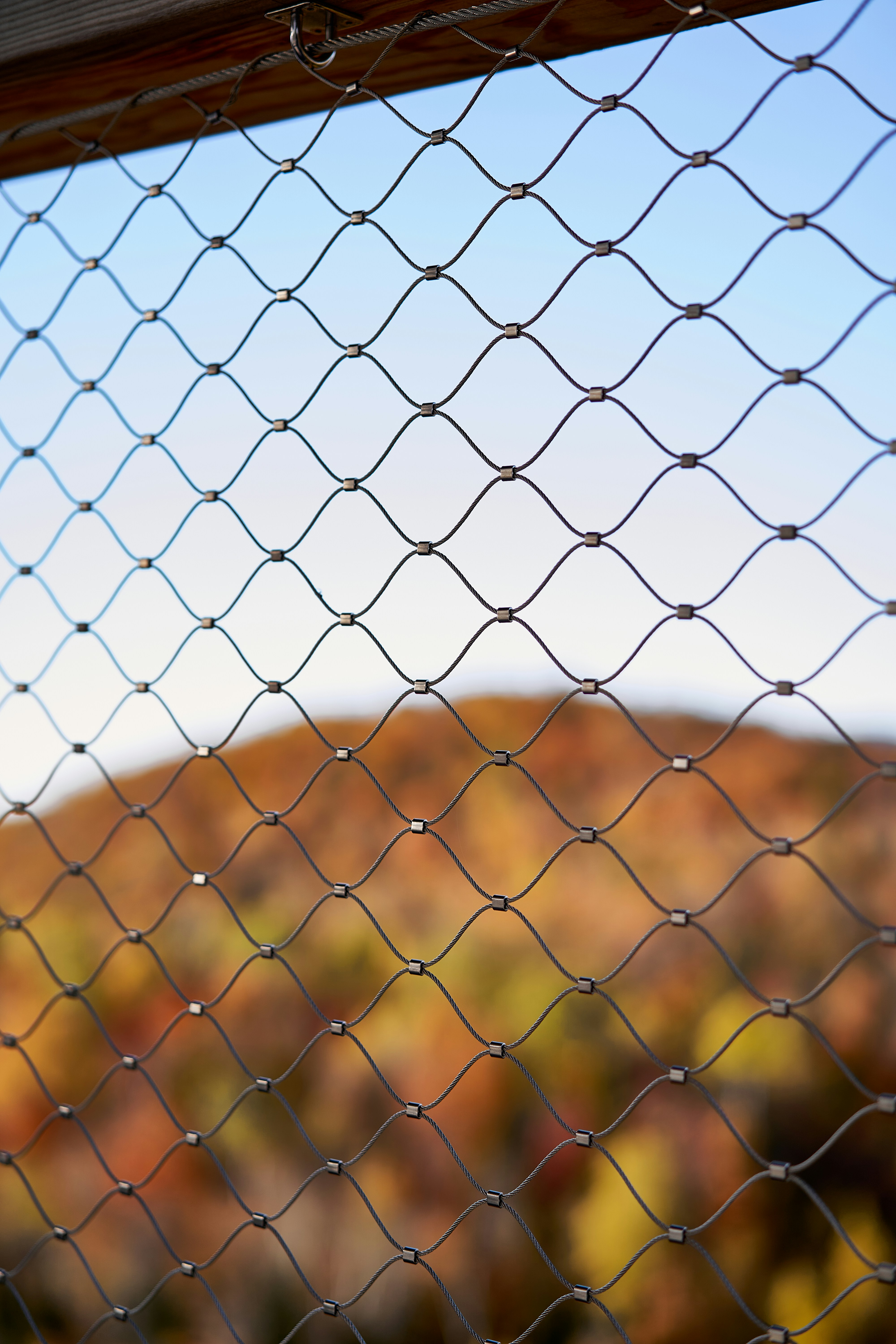 Photo by suicide_chewbacca