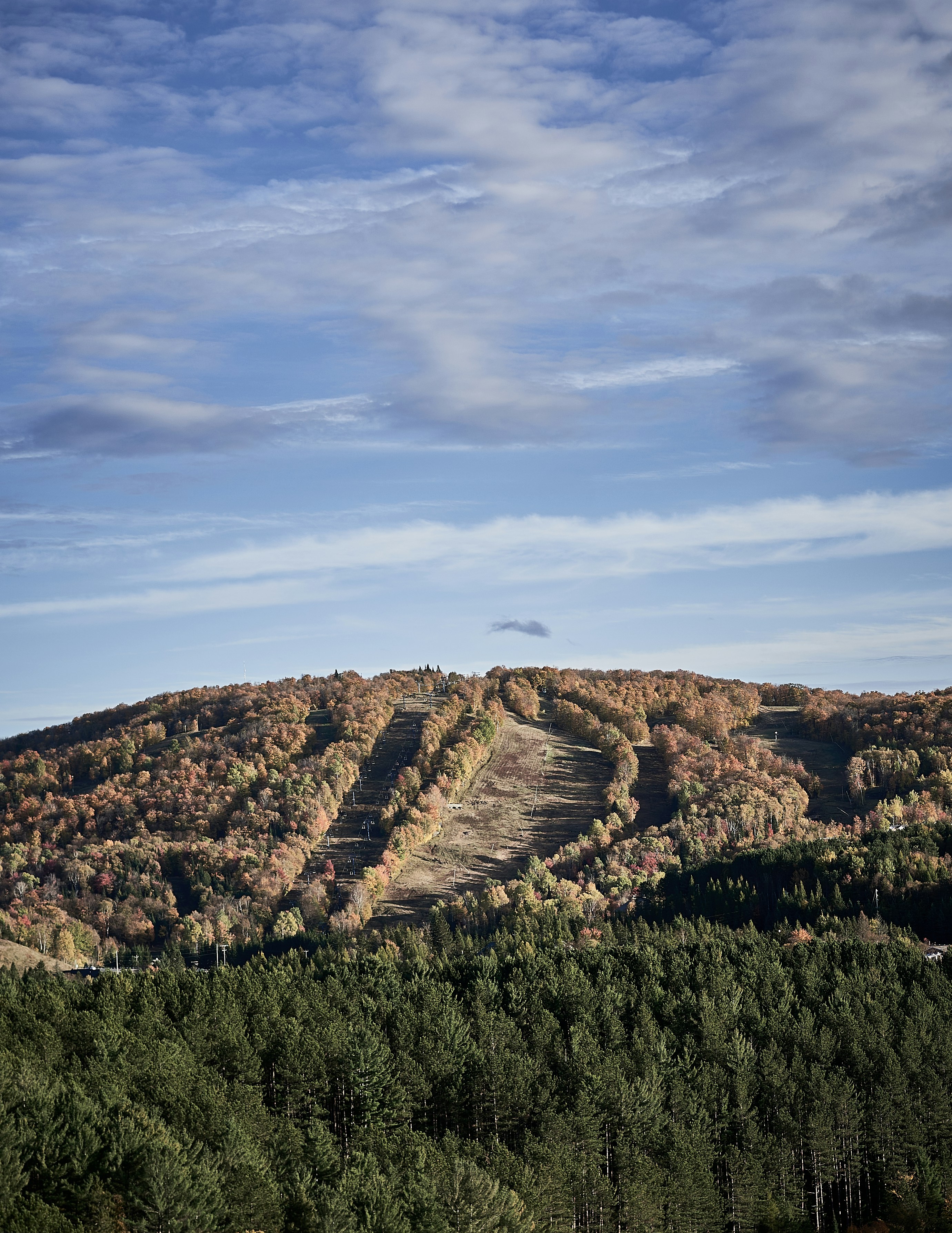 A view of a mountain with trees in the foreground