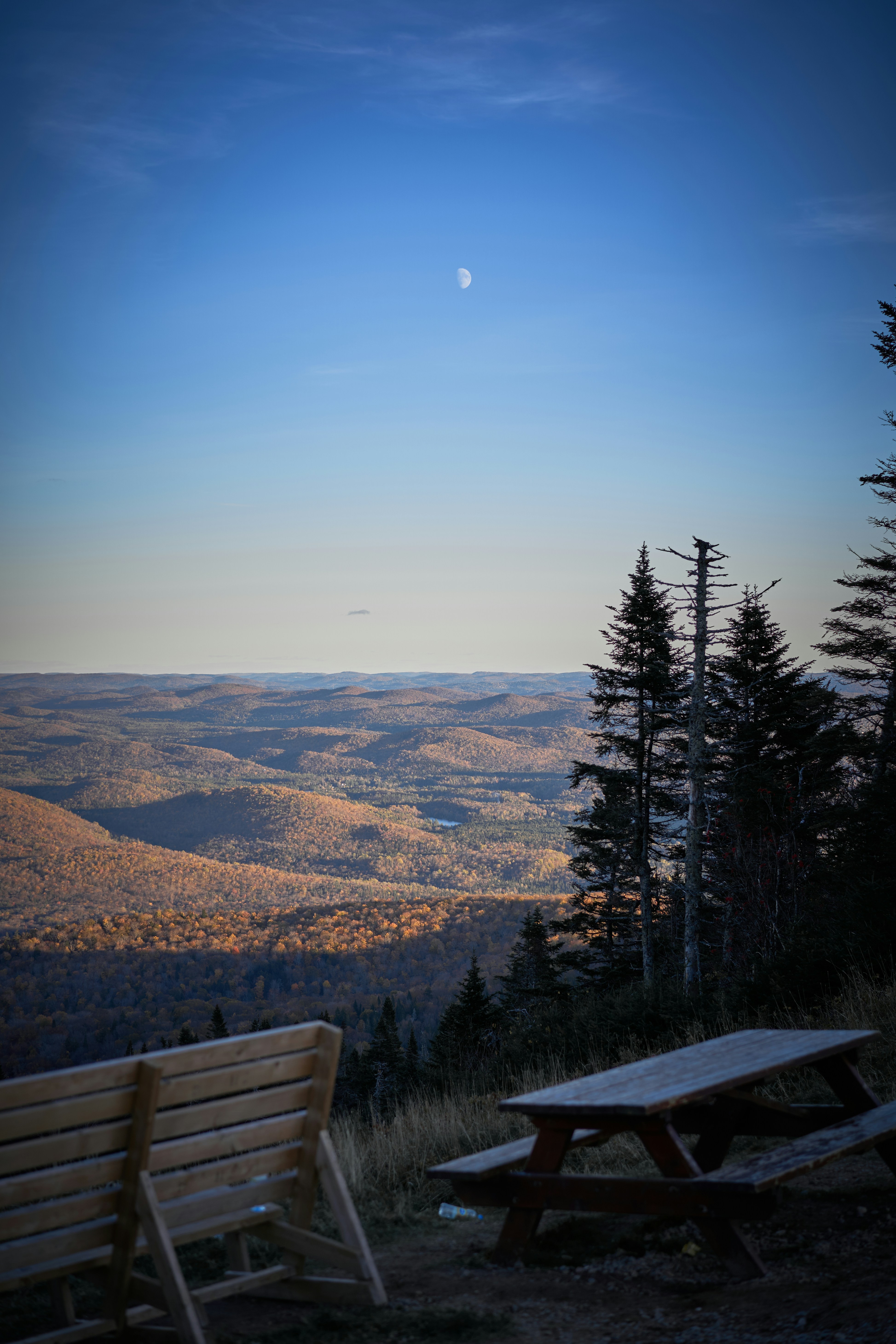 Photo by suicide_chewbacca