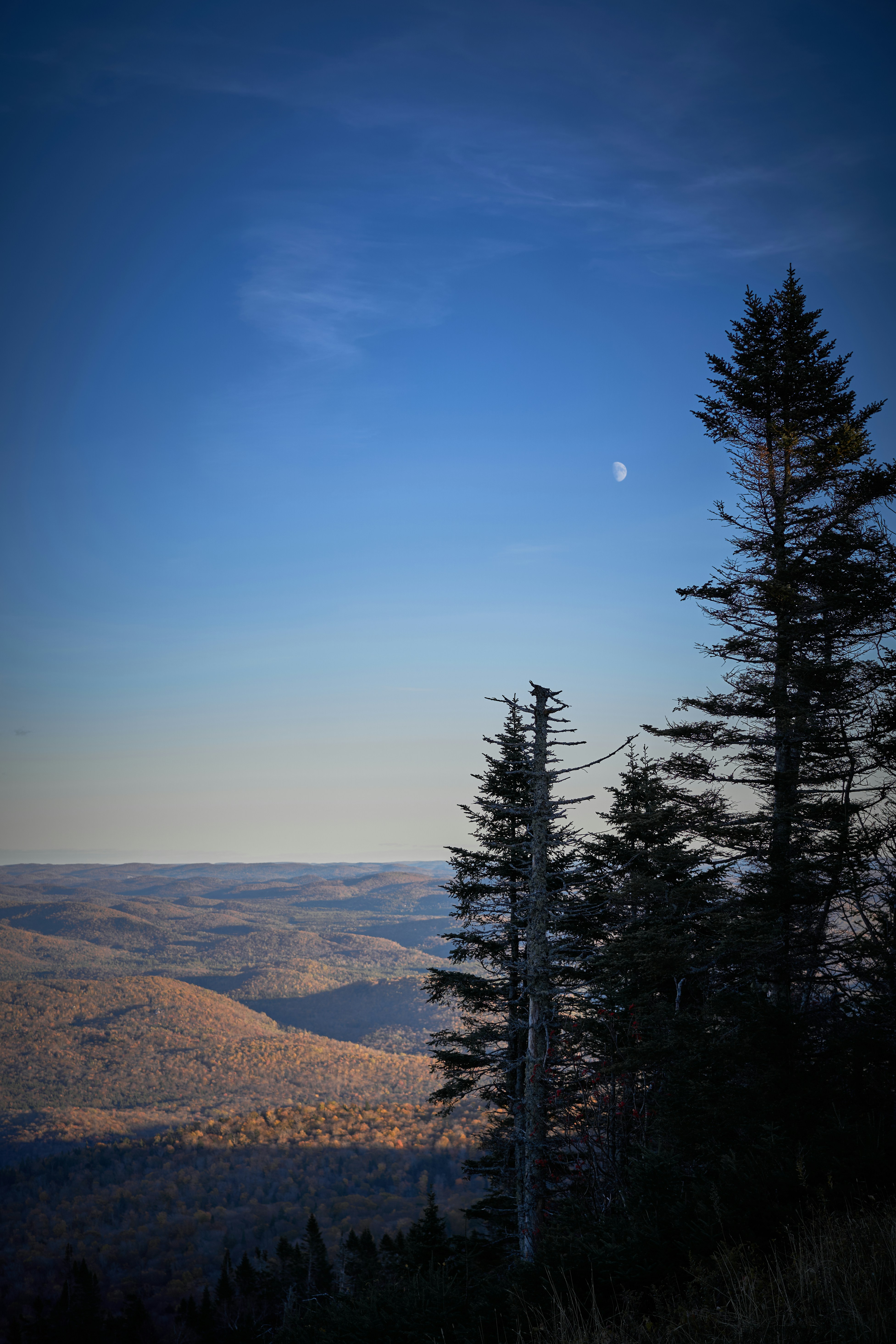 Photo by suicide_chewbacca