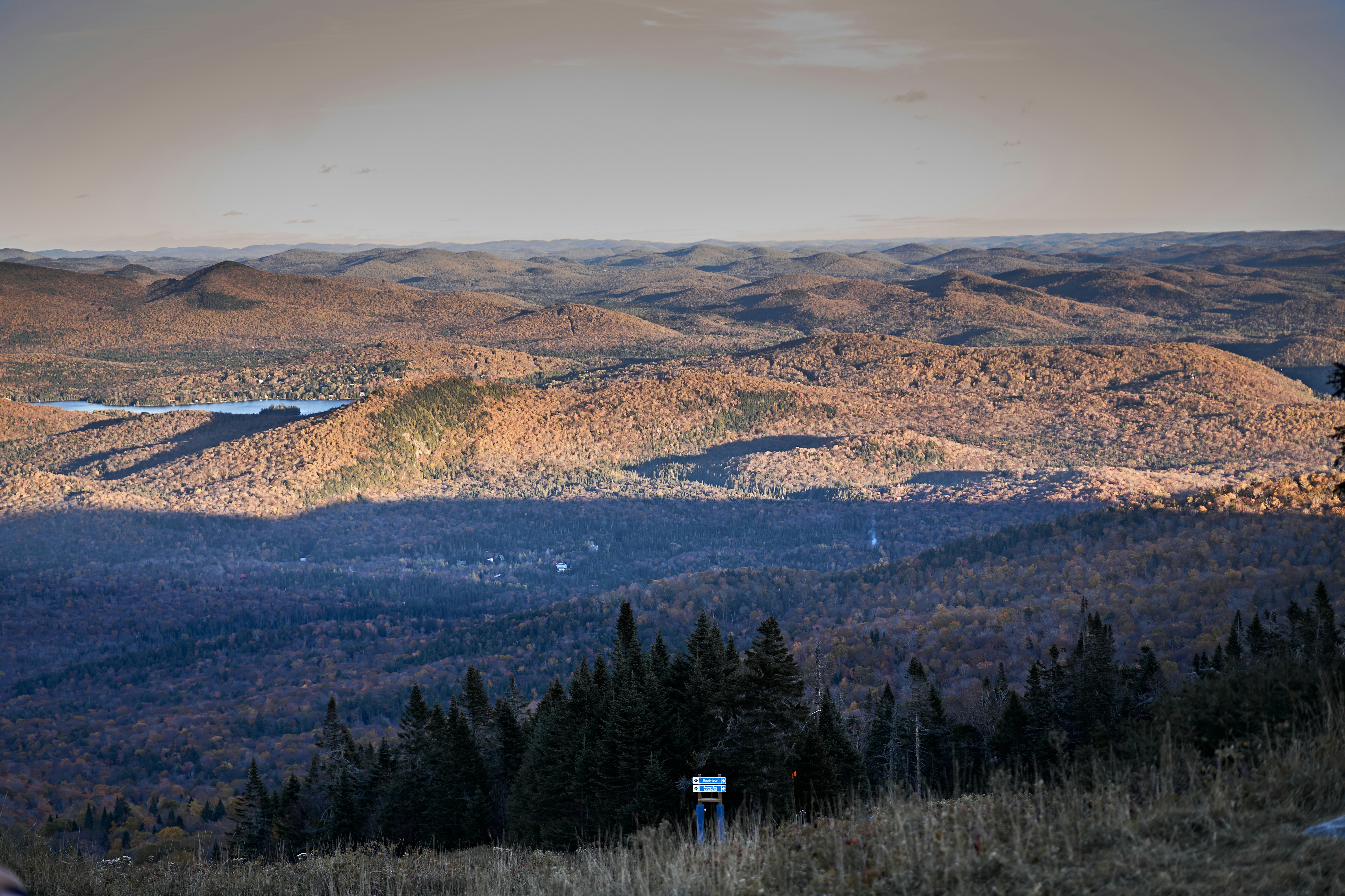 Photo by suicide_chewbacca