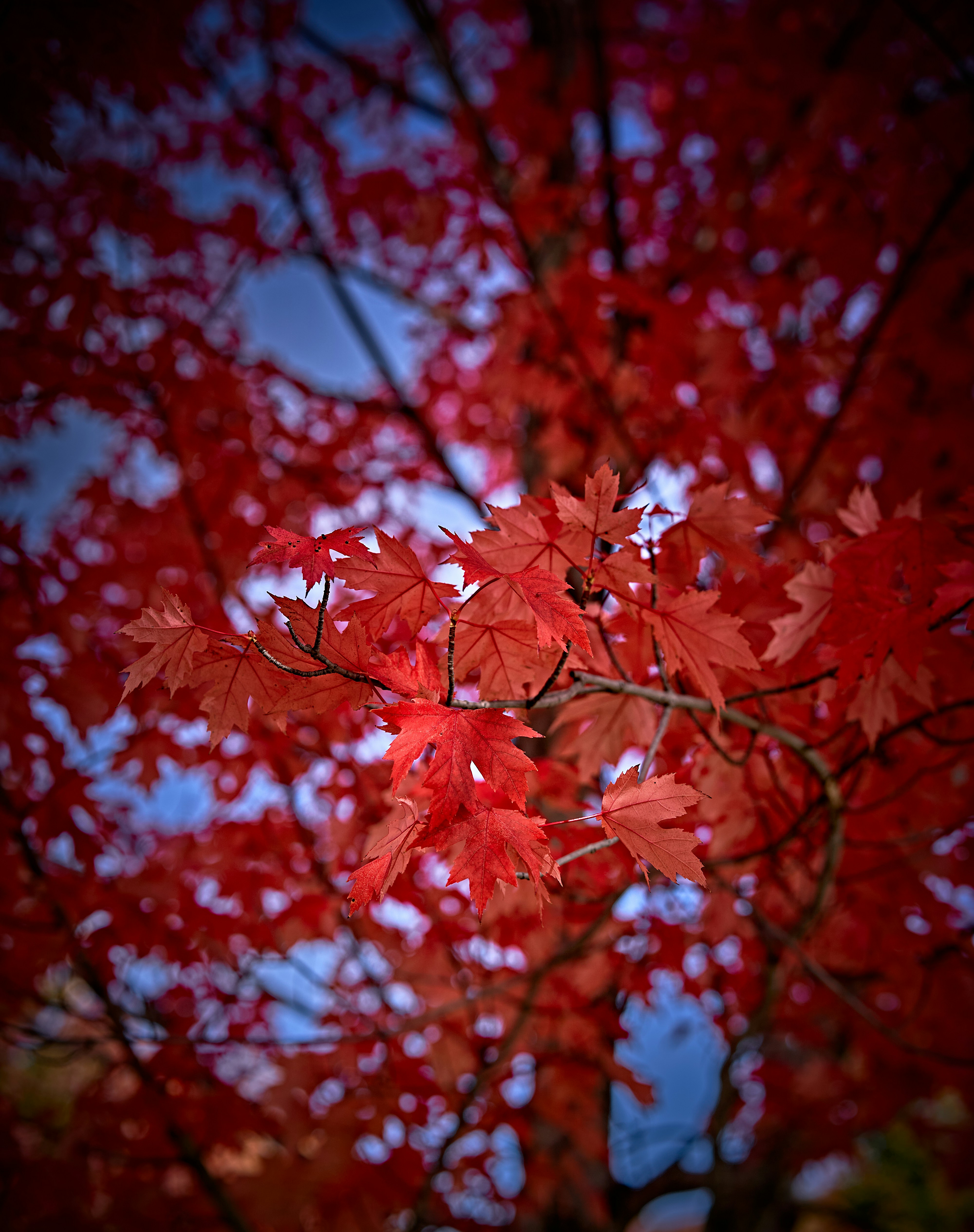 Photo by suicide_chewbacca