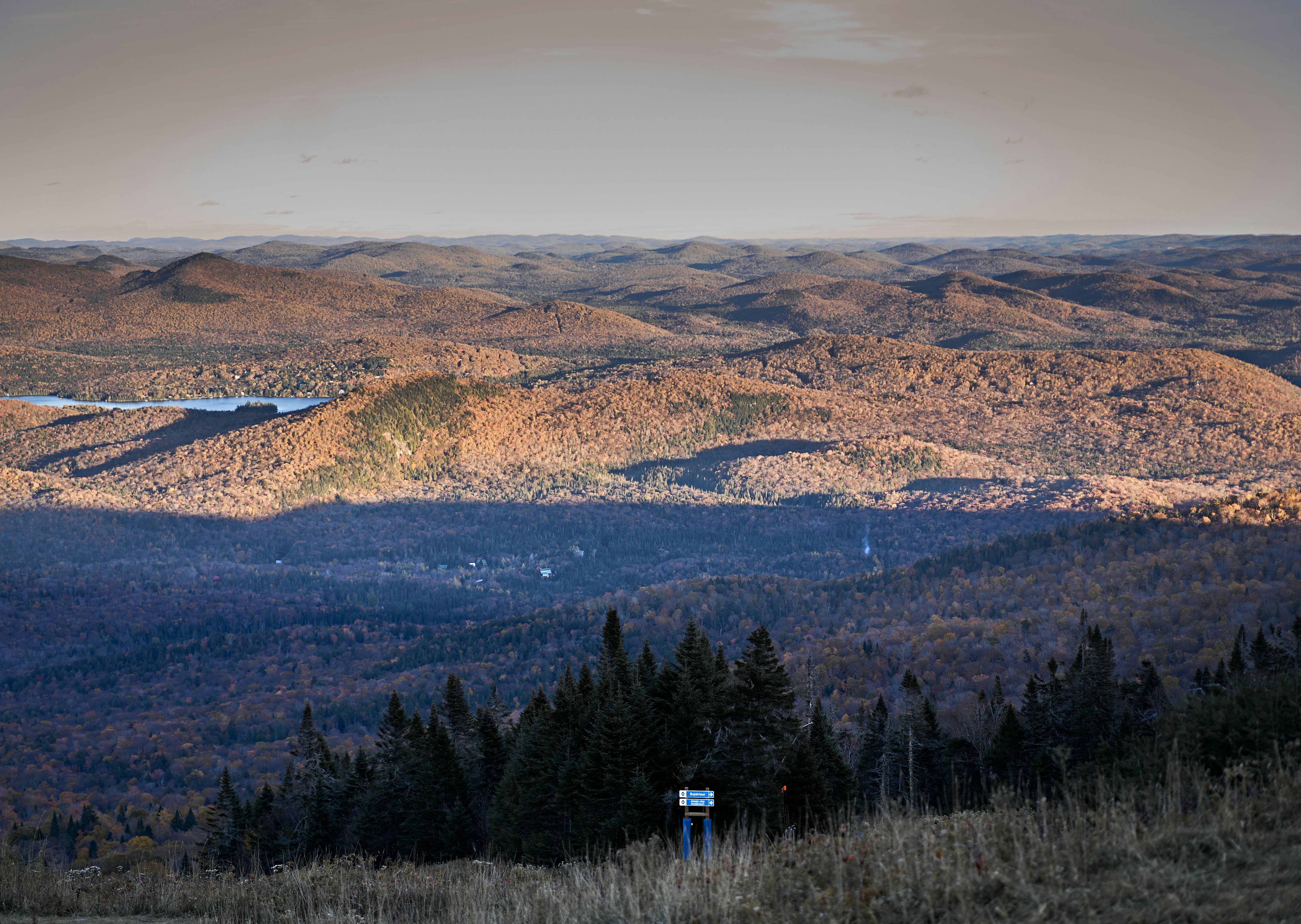 Photo by suicide_chewbacca