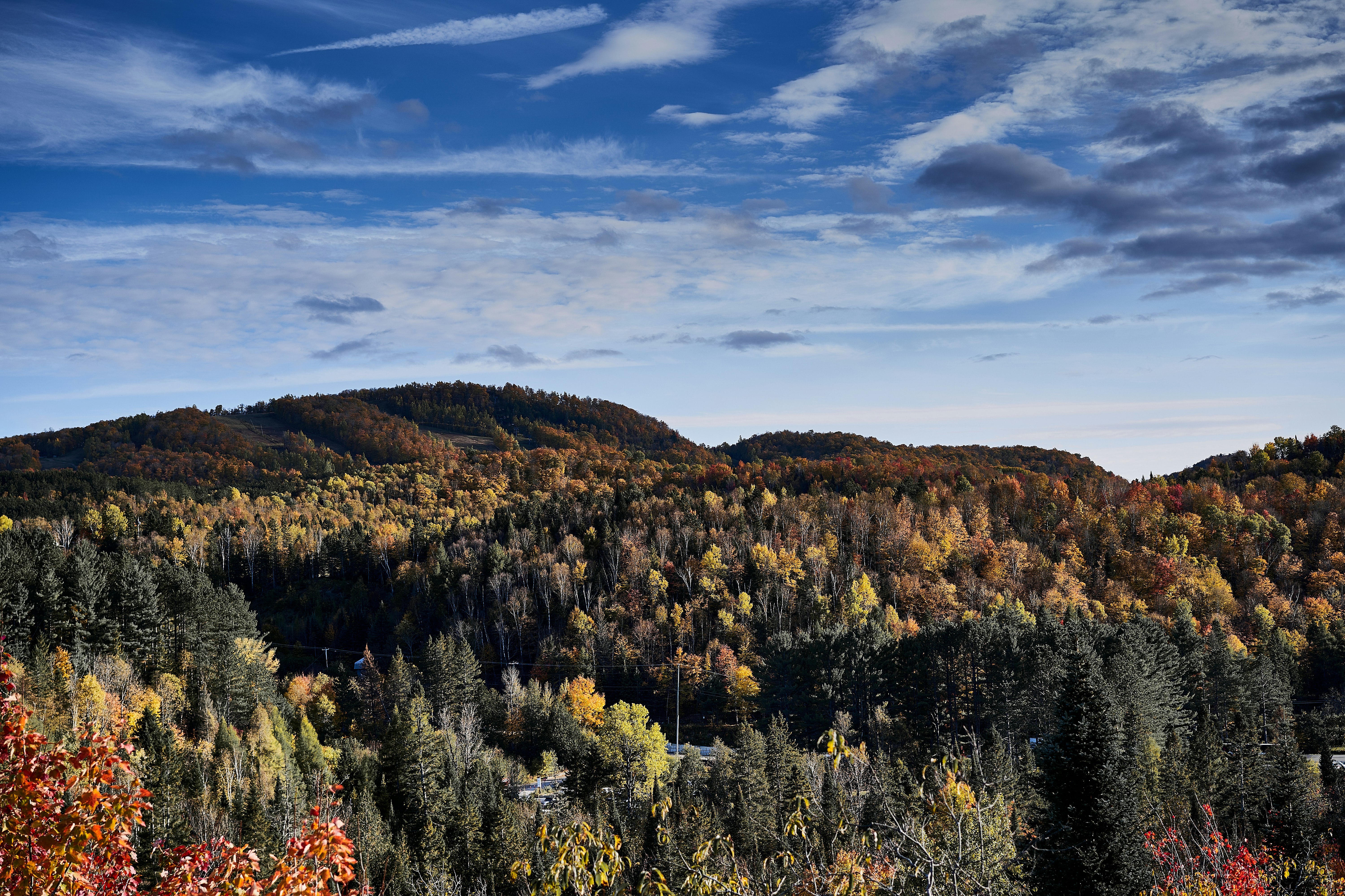 Photo by suicide_chewbacca