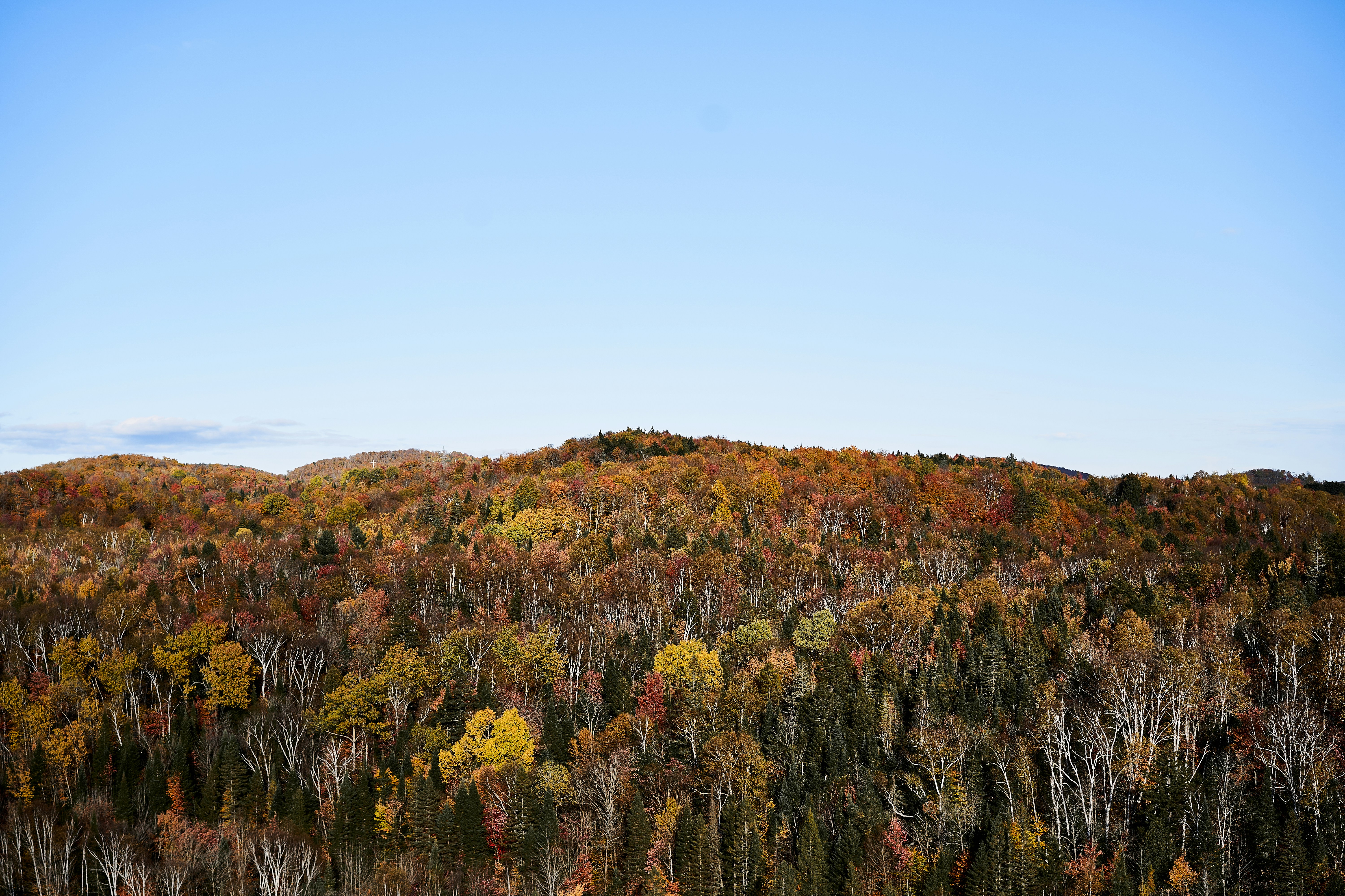 Photo by suicide_chewbacca