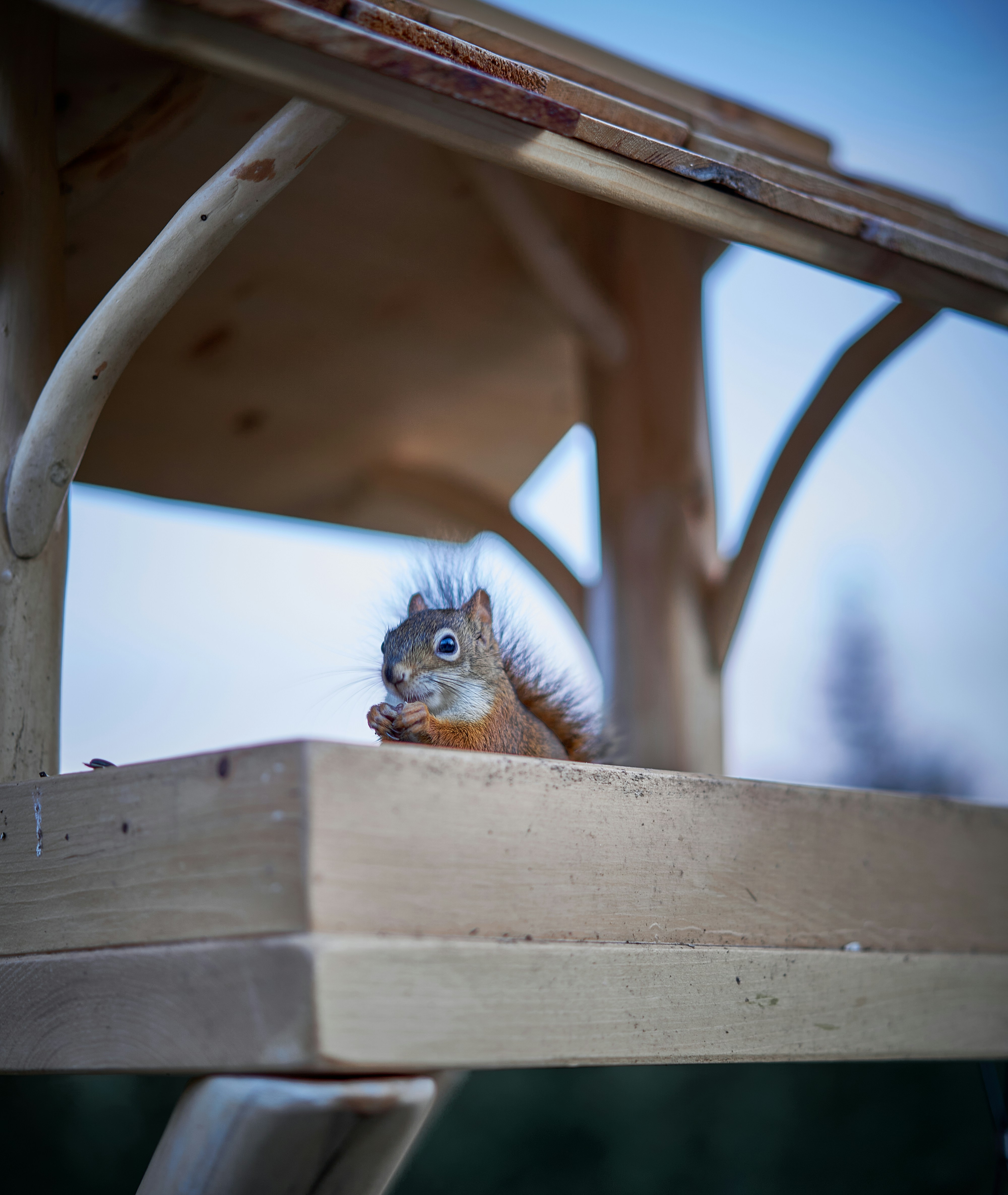 Photo by suicide_chewbacca