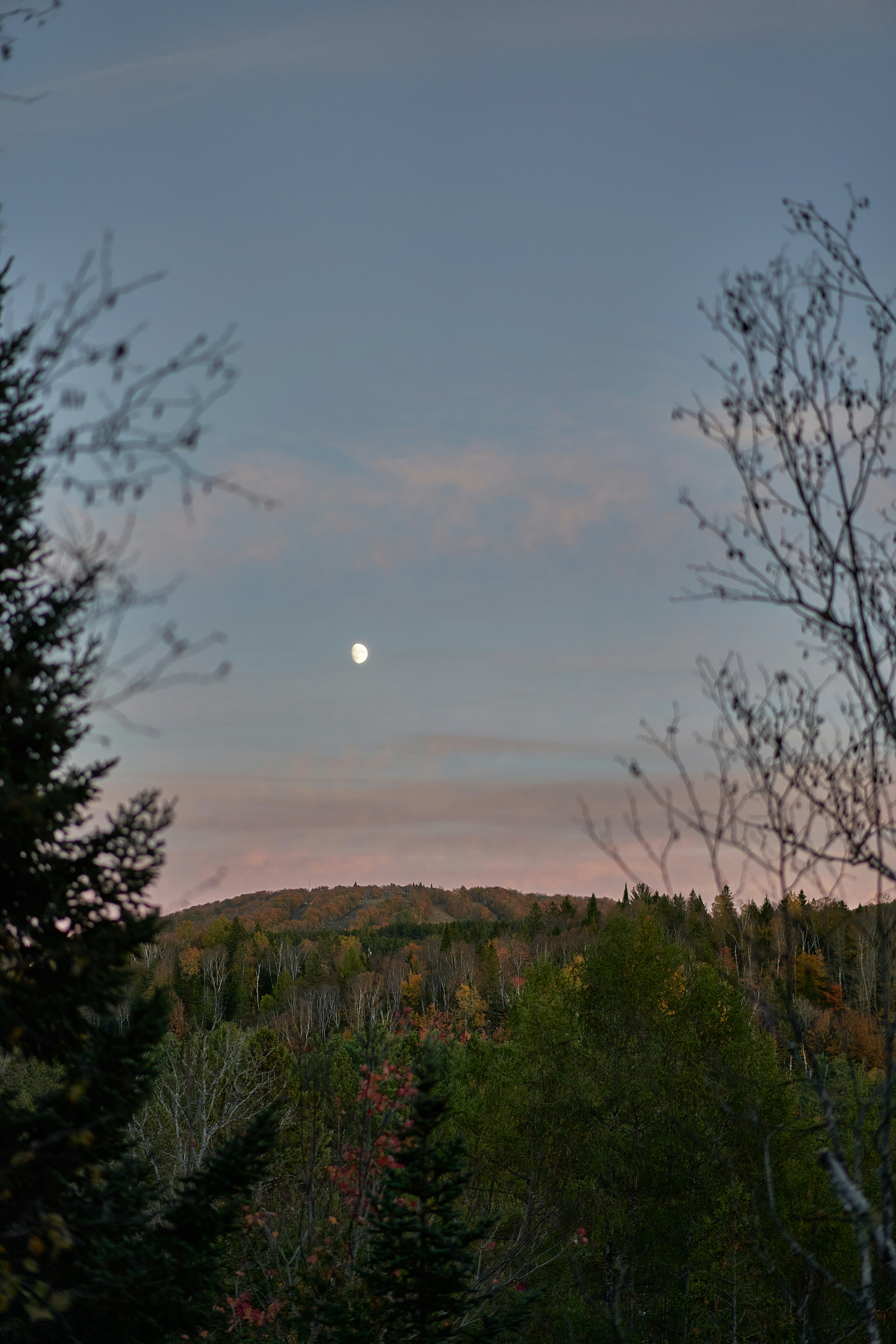 Photo by suicide_chewbacca