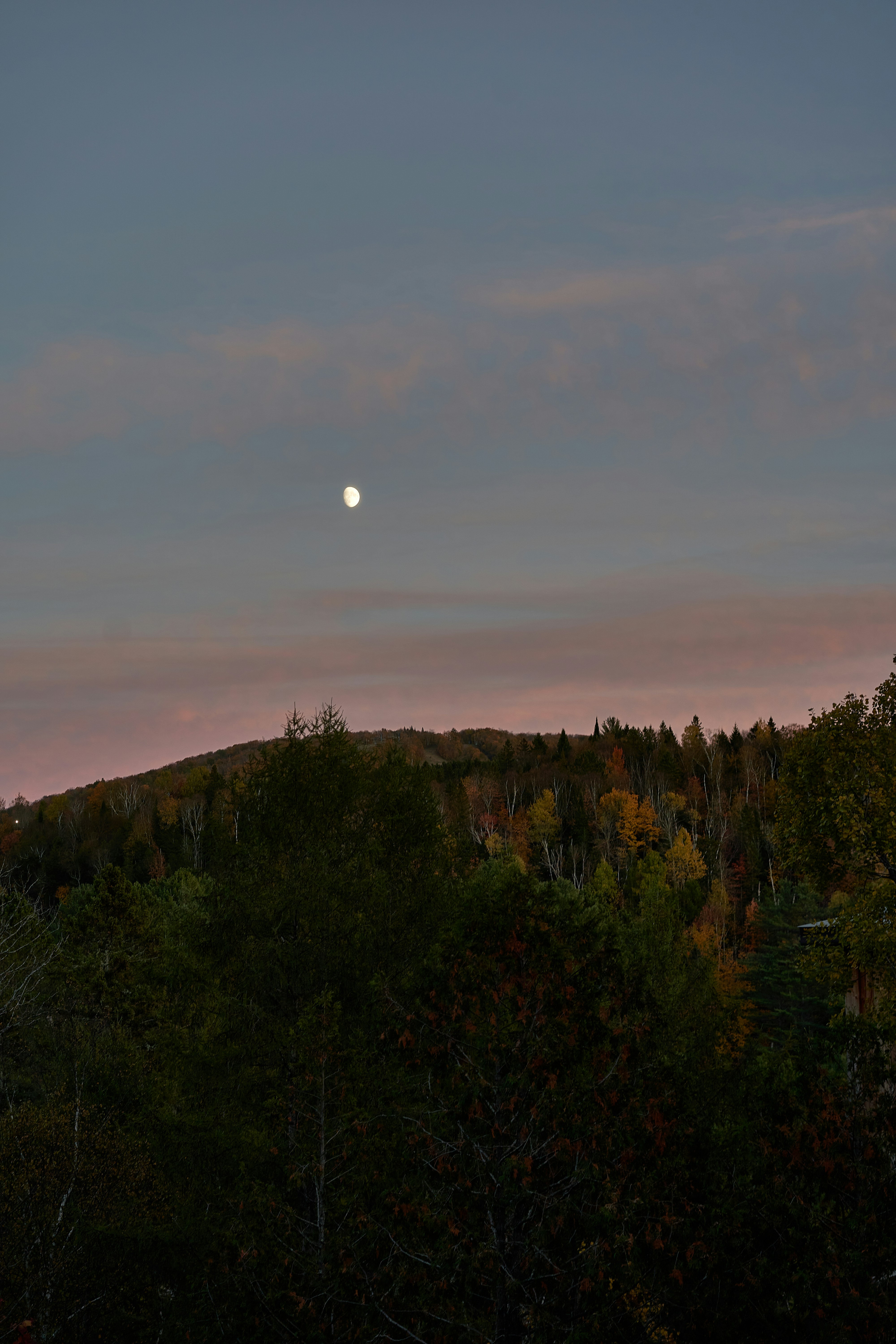 Photo by suicide_chewbacca