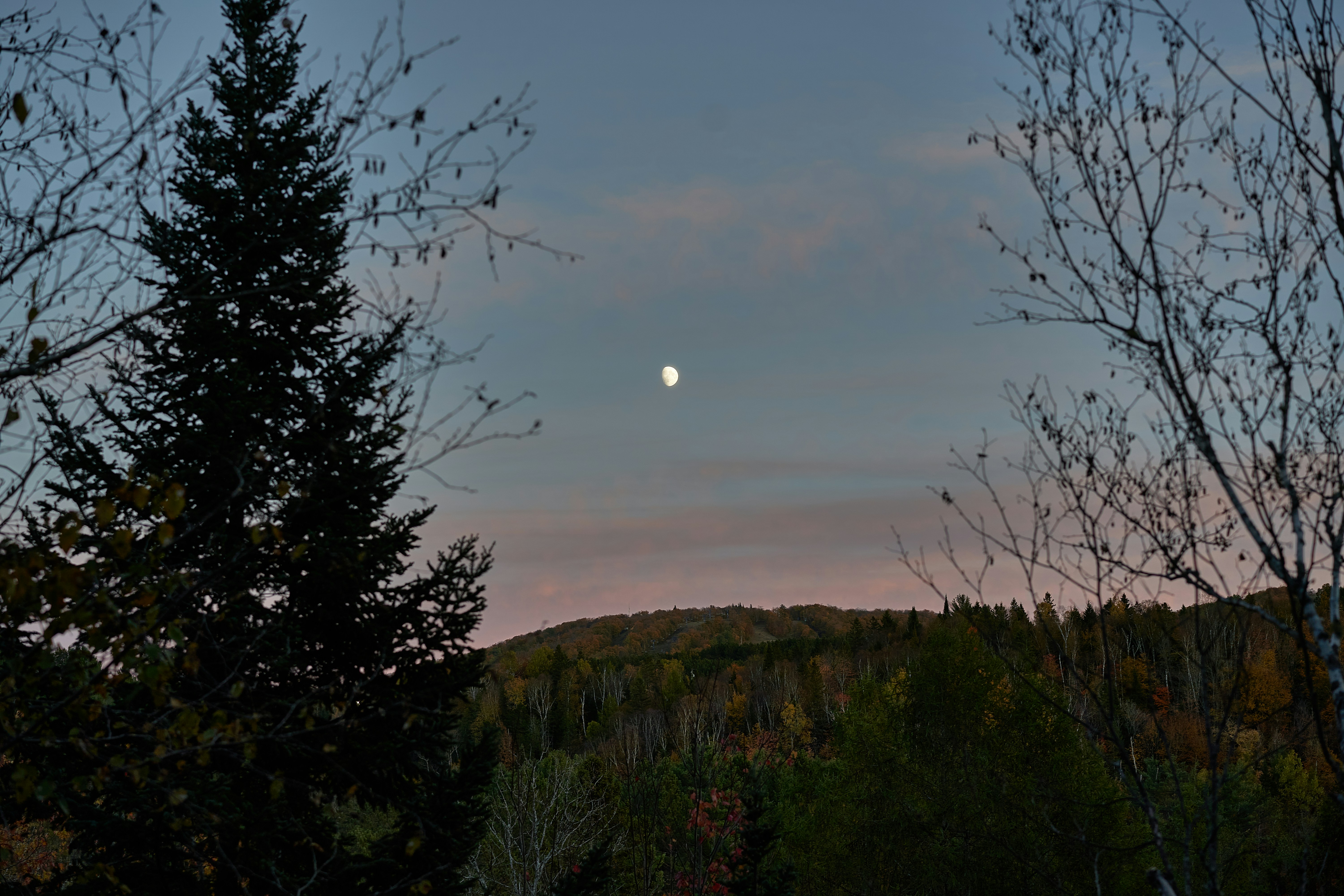 Photo by suicide_chewbacca