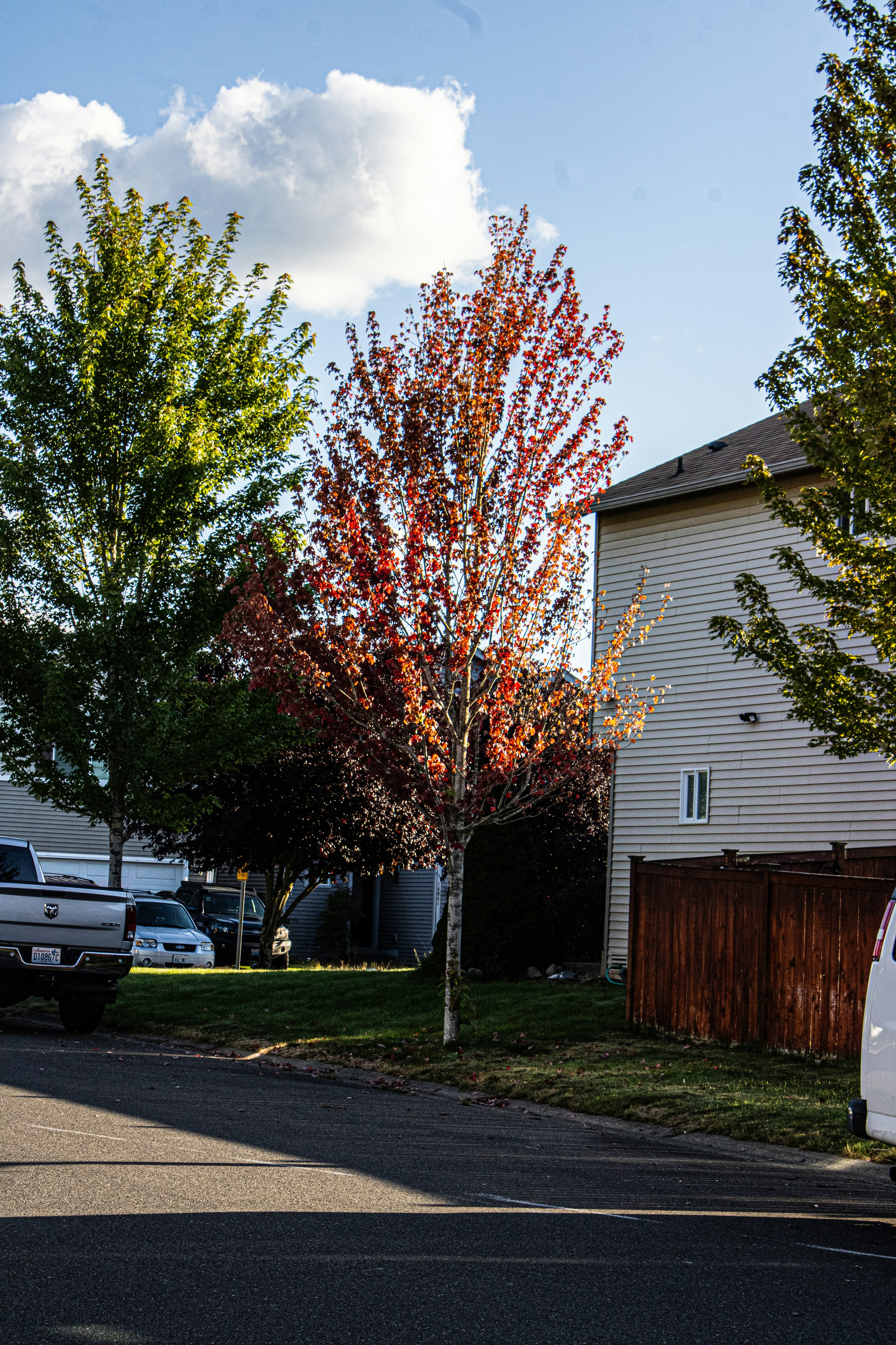 Photo by prphotography262