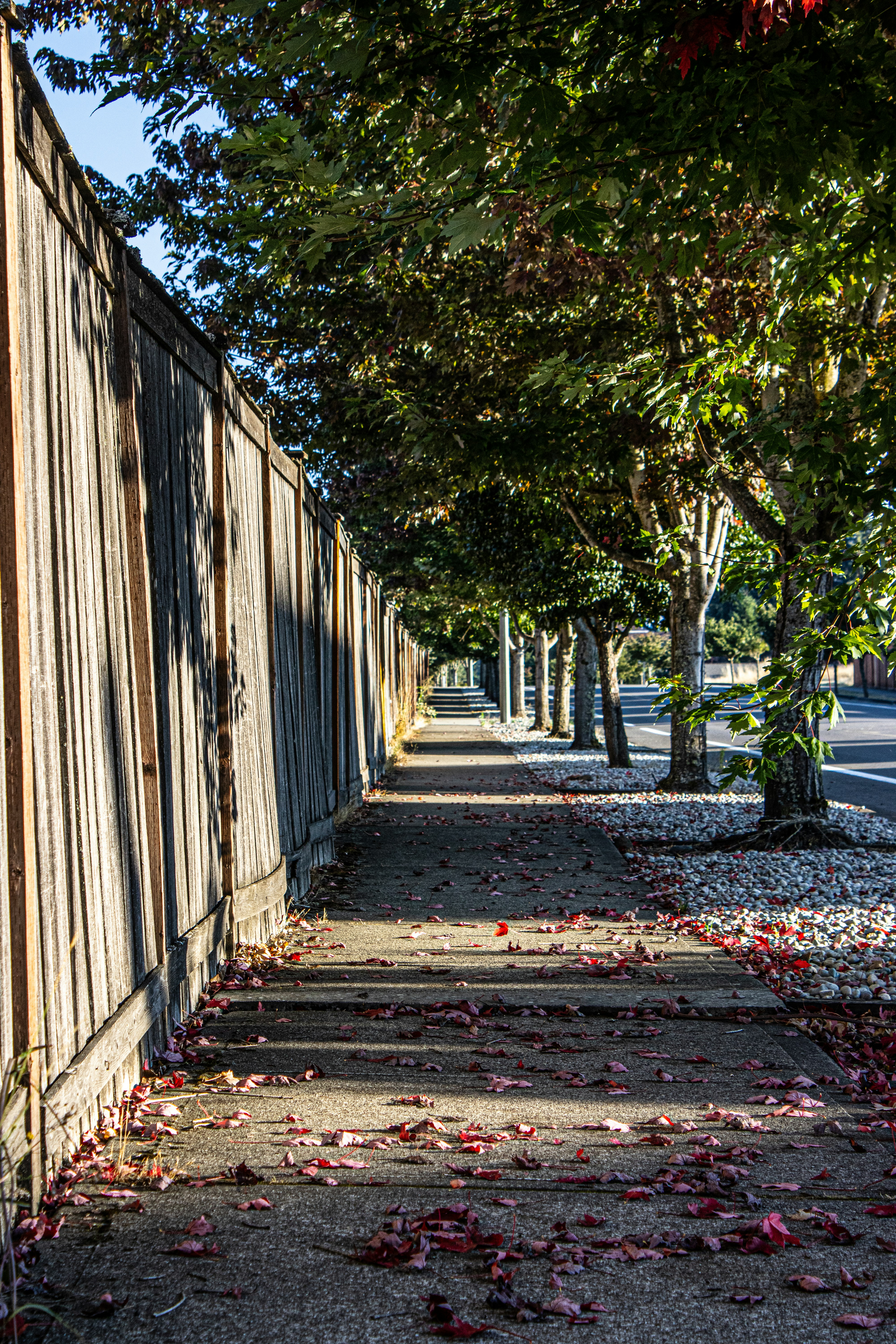 Photo by prphotography262