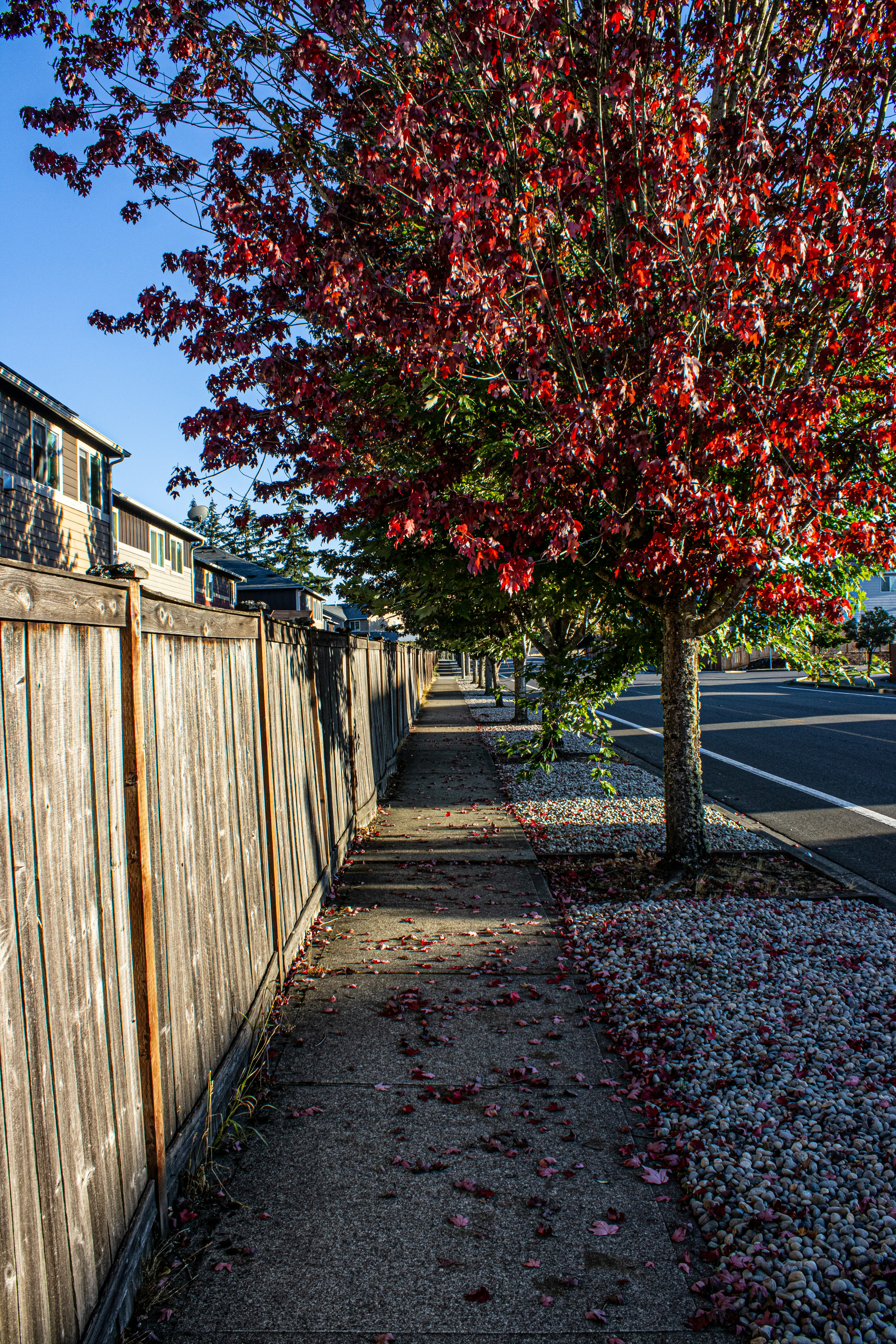 Photo by prphotography262