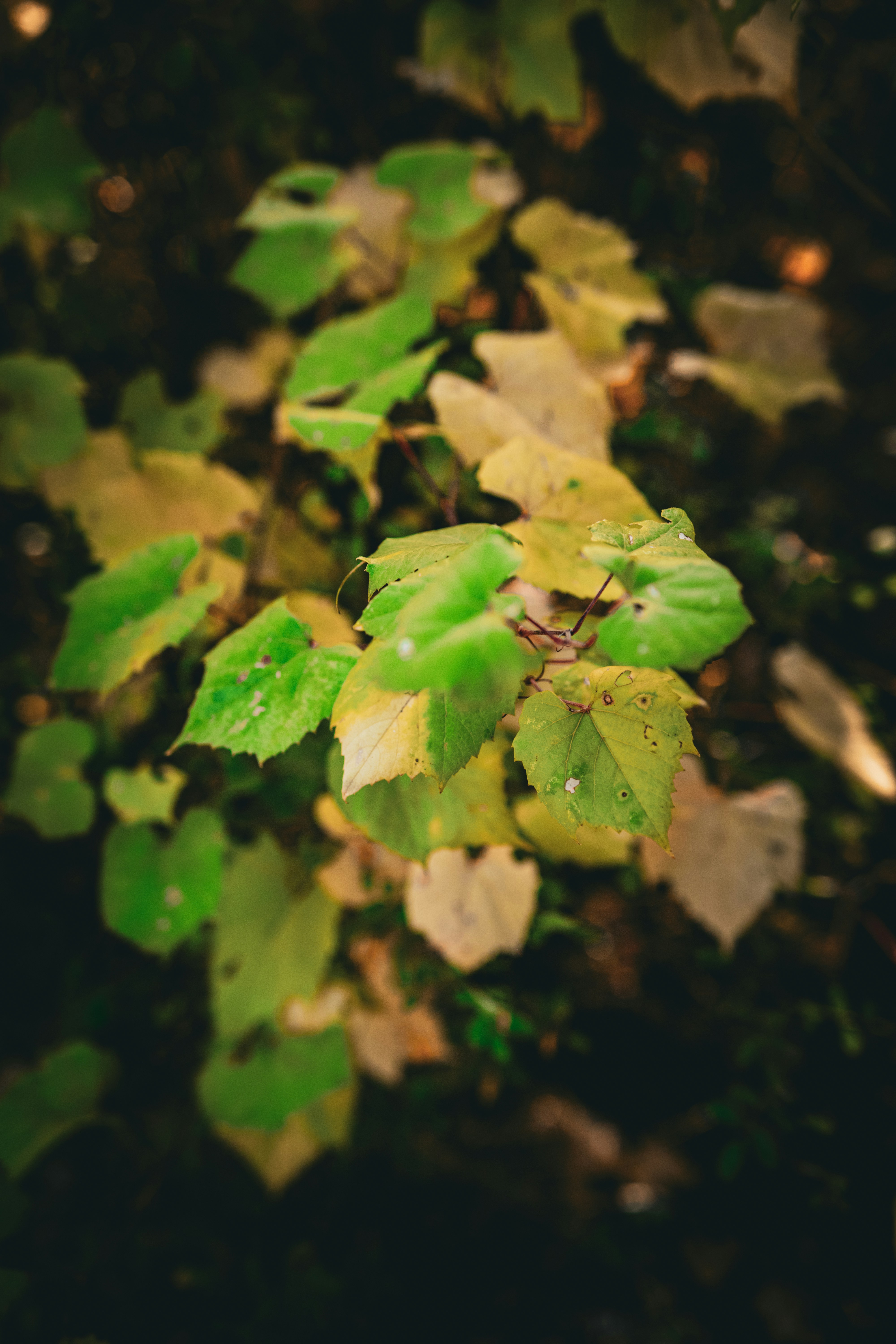 Photo by starworshipp3r