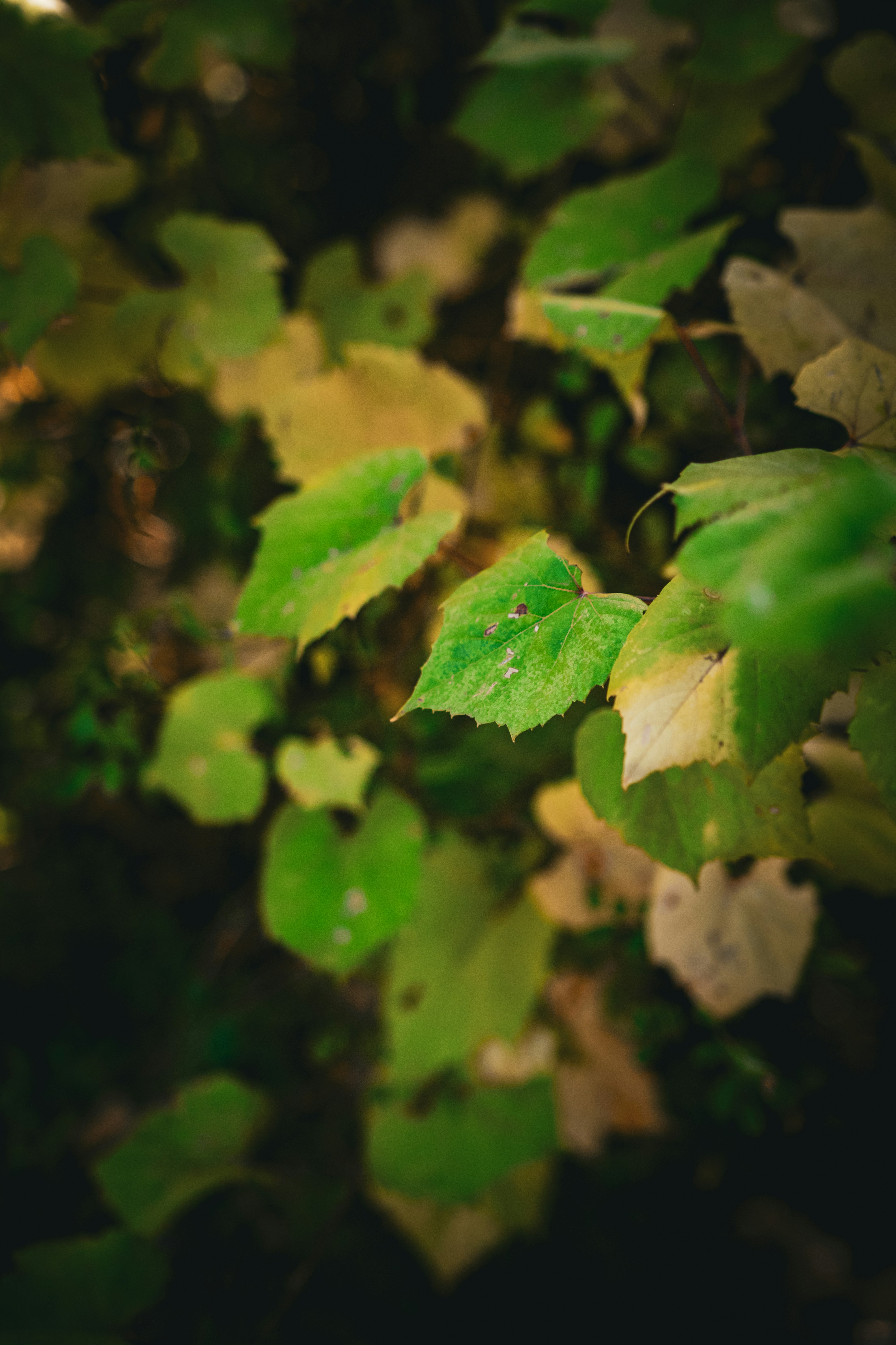 Photo by starworshipp3r