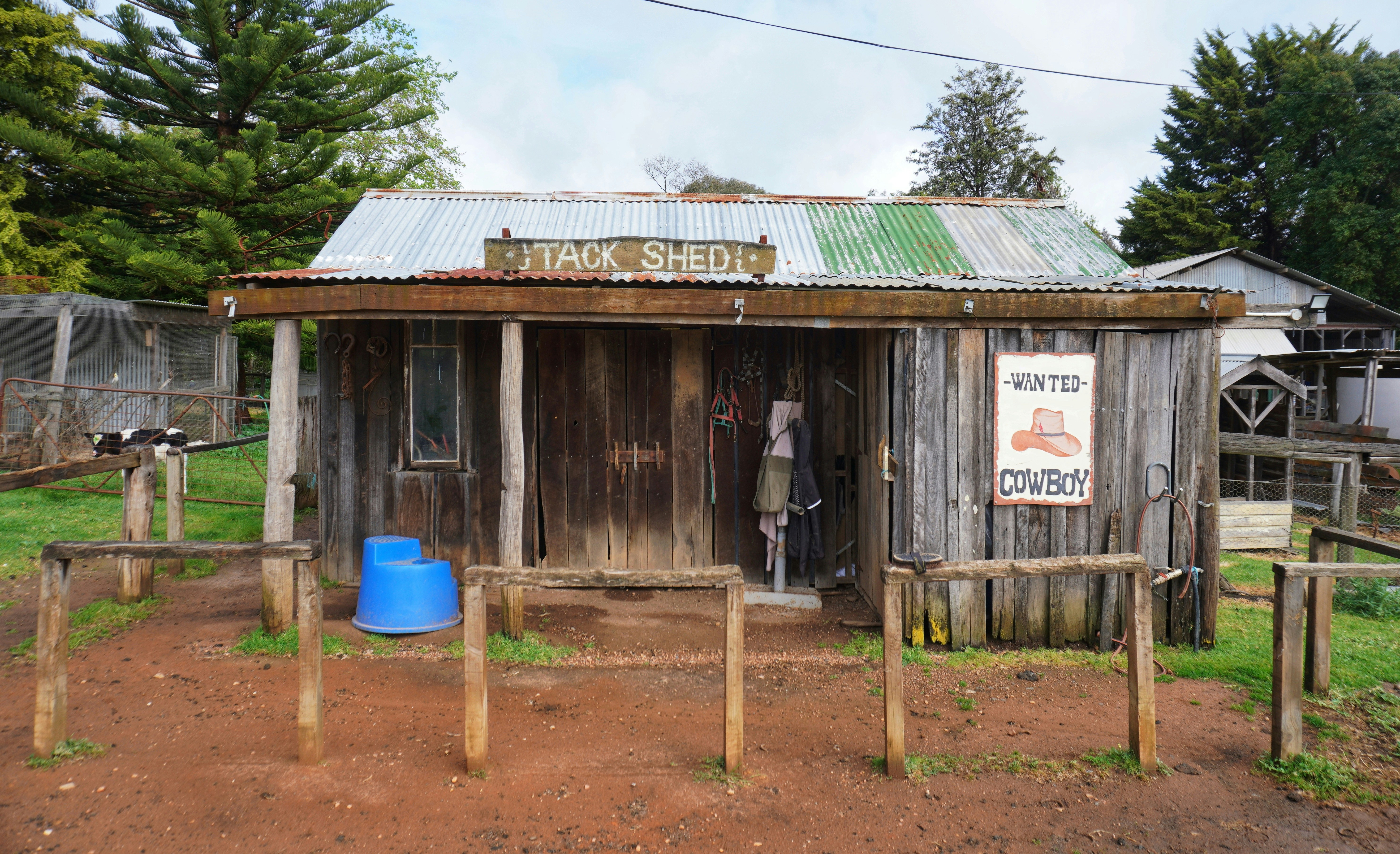 Expert Guidance in Micro Insurance