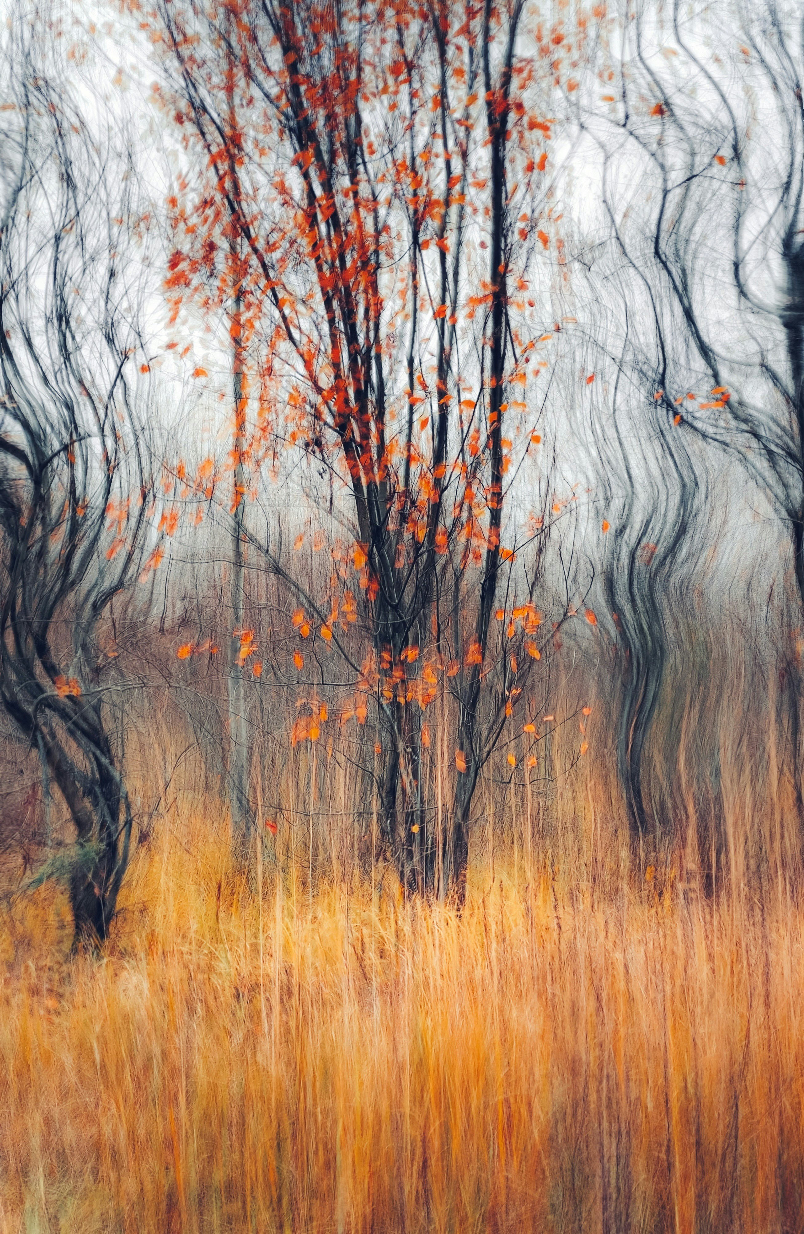 Photo by eugene_golovesov