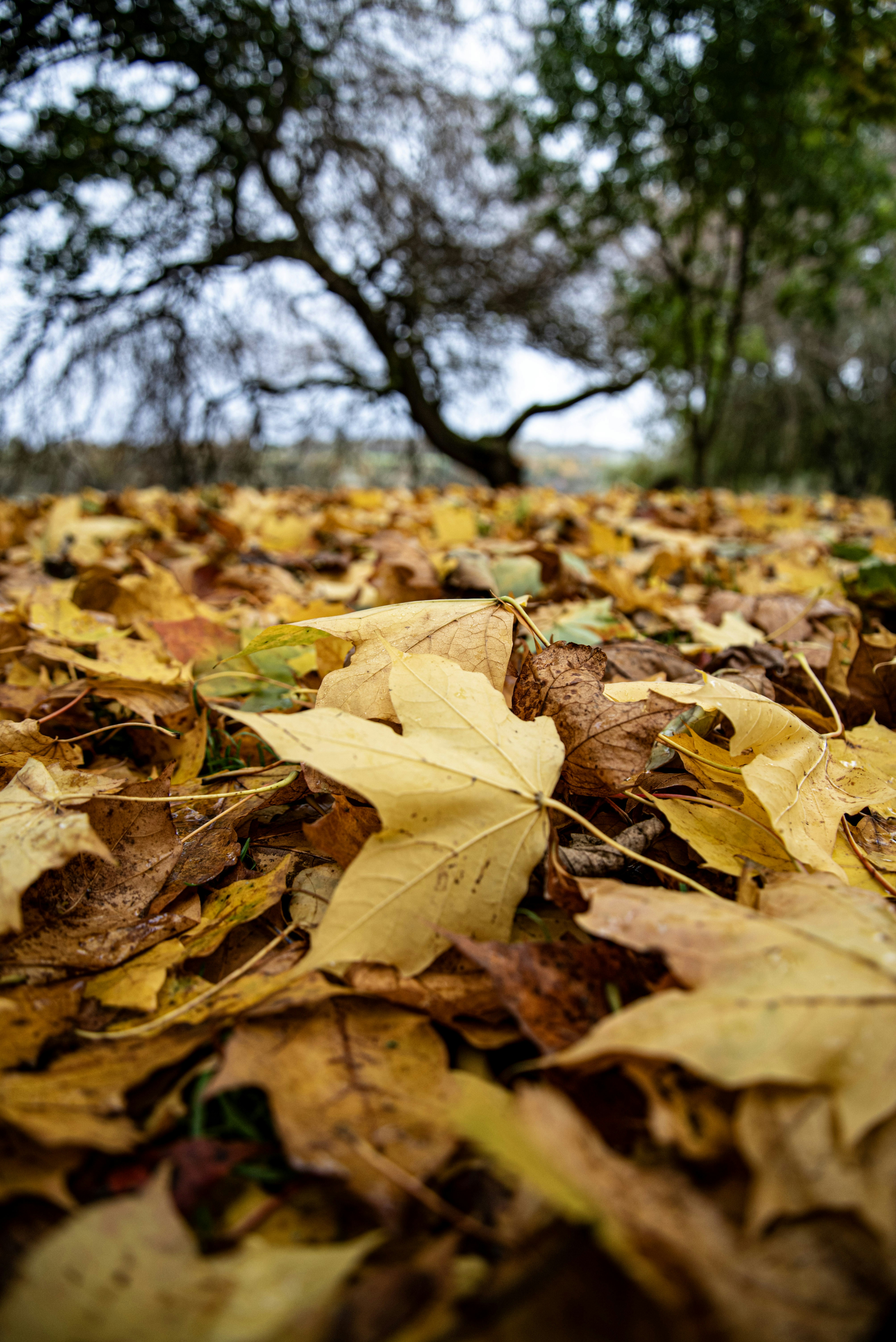 Photo by alphaperspective